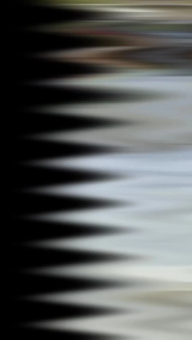 #taquizas #cateringdinner #prewedding #celine #taquitos #mexican