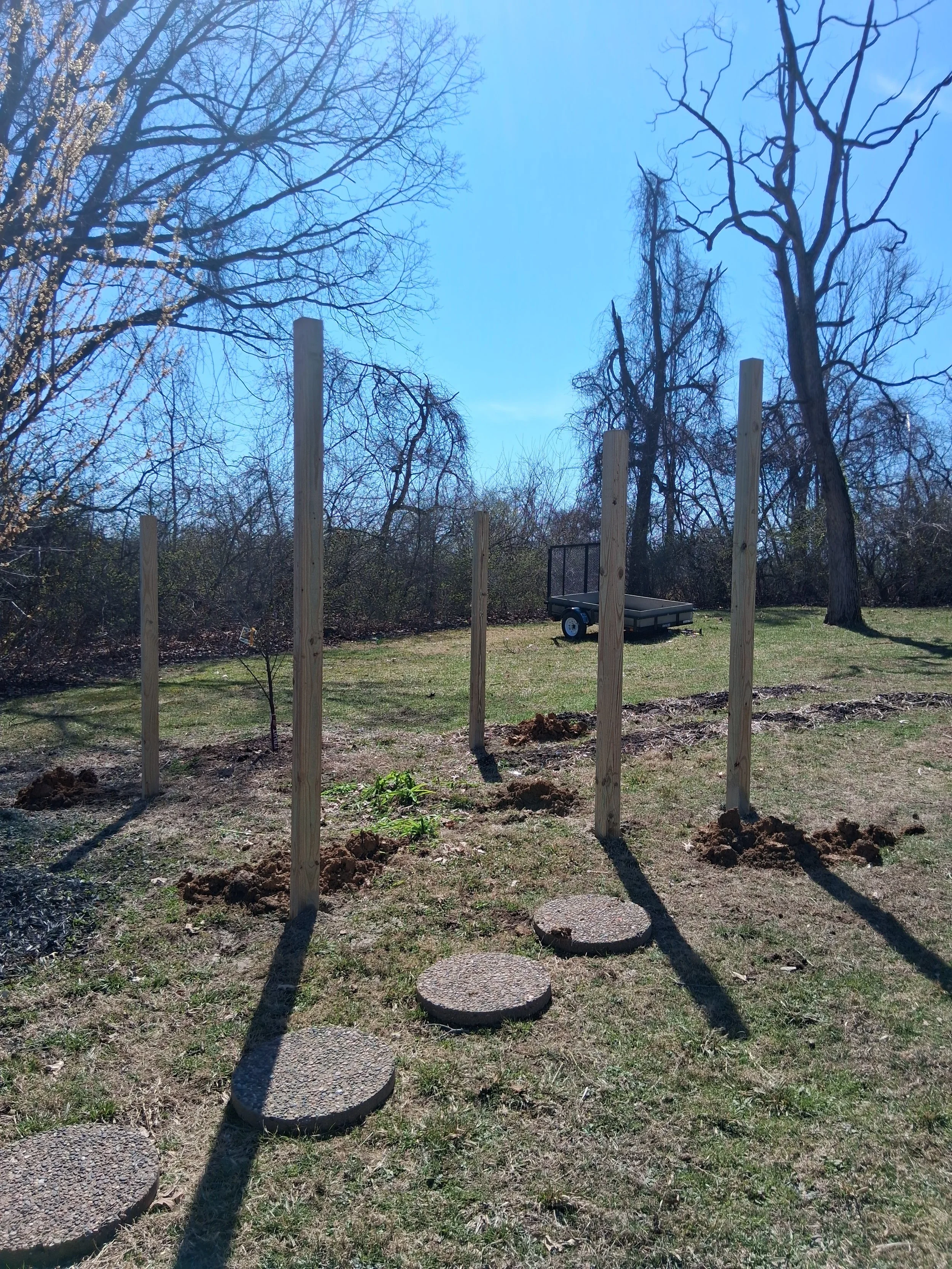 Hare-brained  Scheme