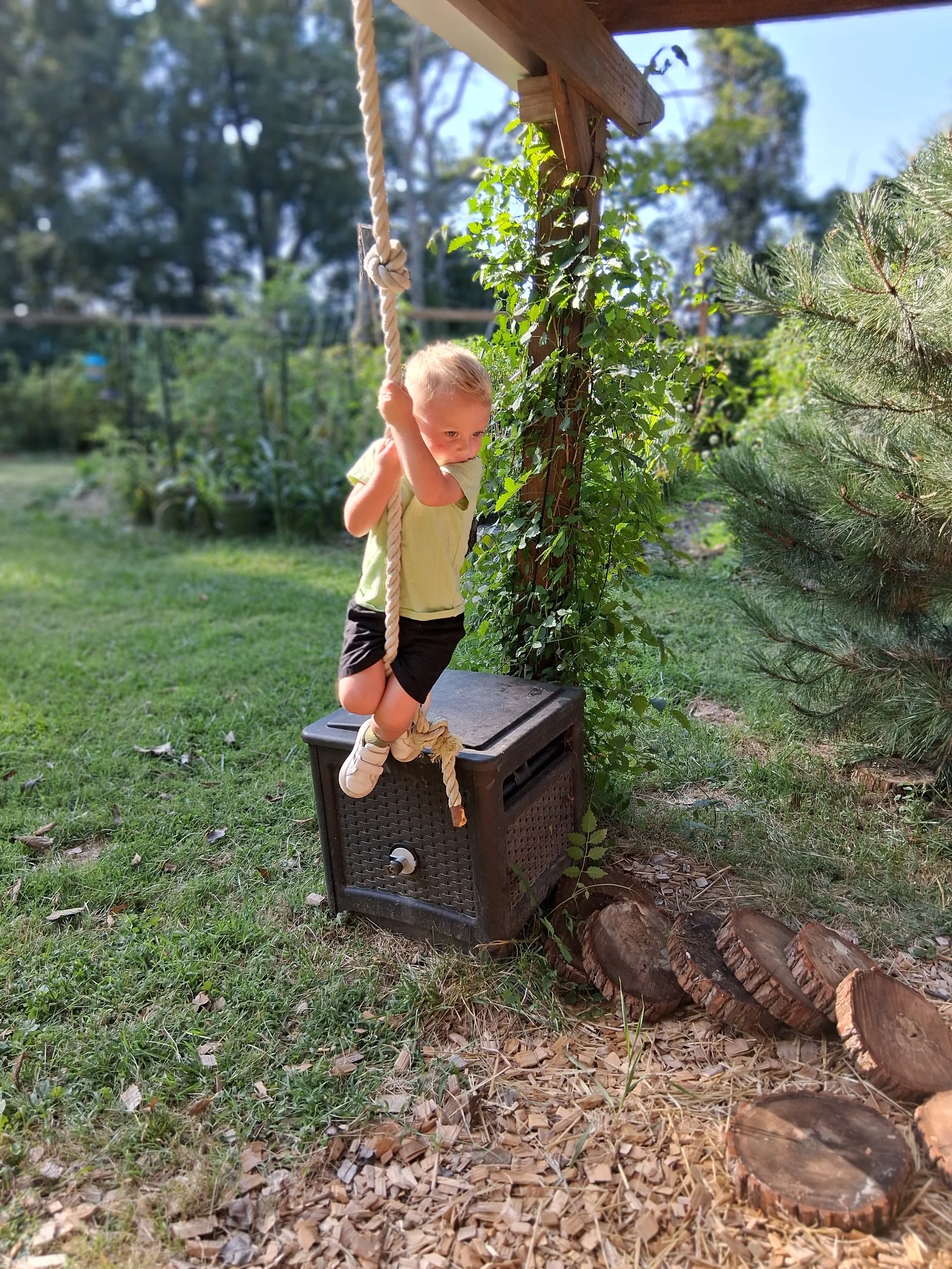 Swinging into Blackberry Blossom