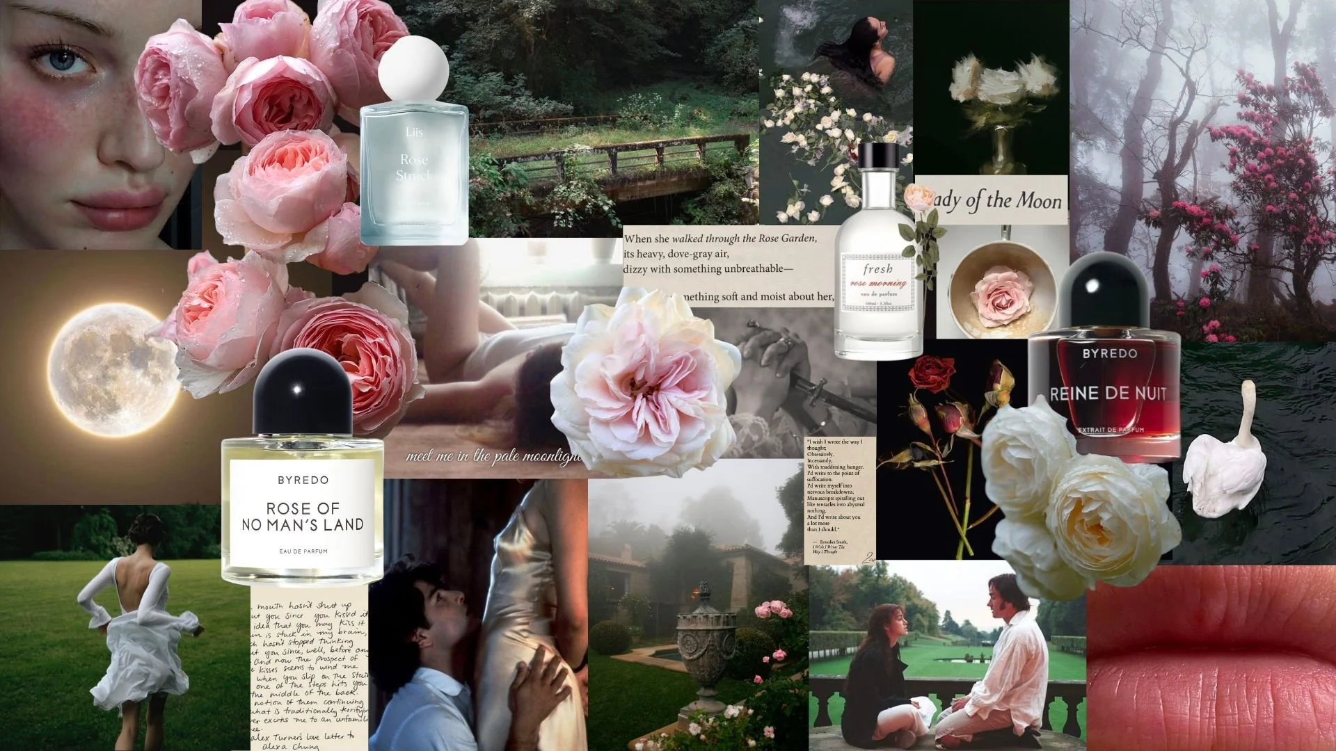 A Night&nbsp;in the&nbsp;Rose Garden&nbsp;