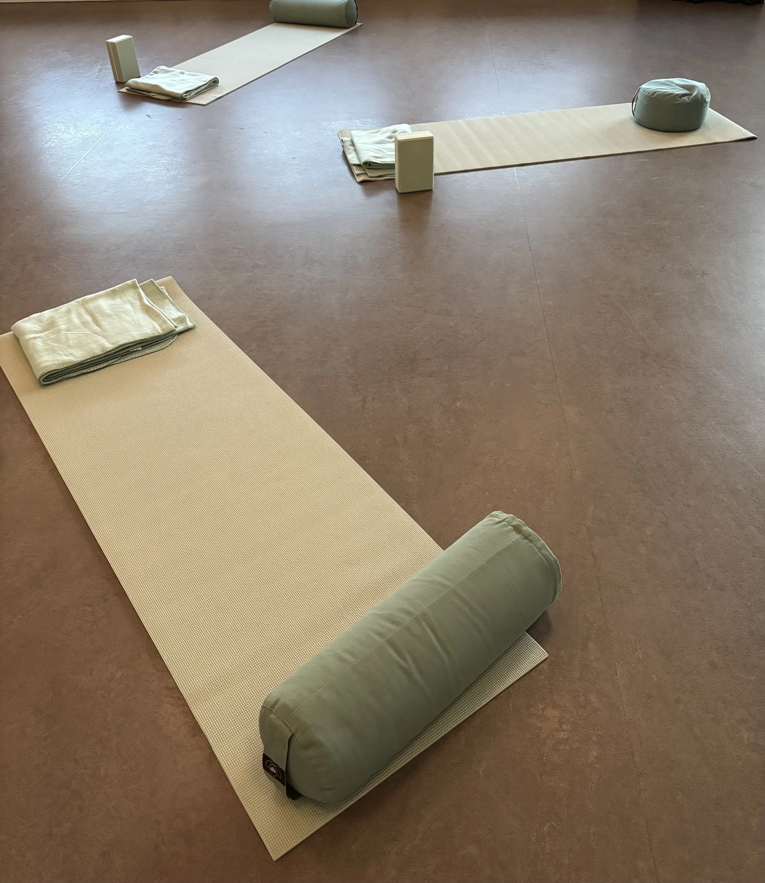 Yoga mats, bolsters, and towels arranged on the floor for a class or practice.