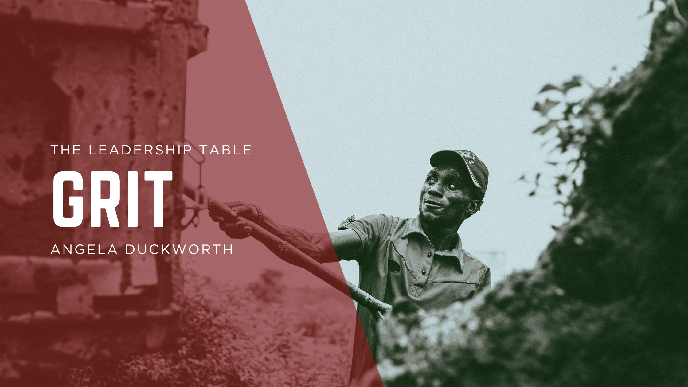 Grit (Angela Duckworth)