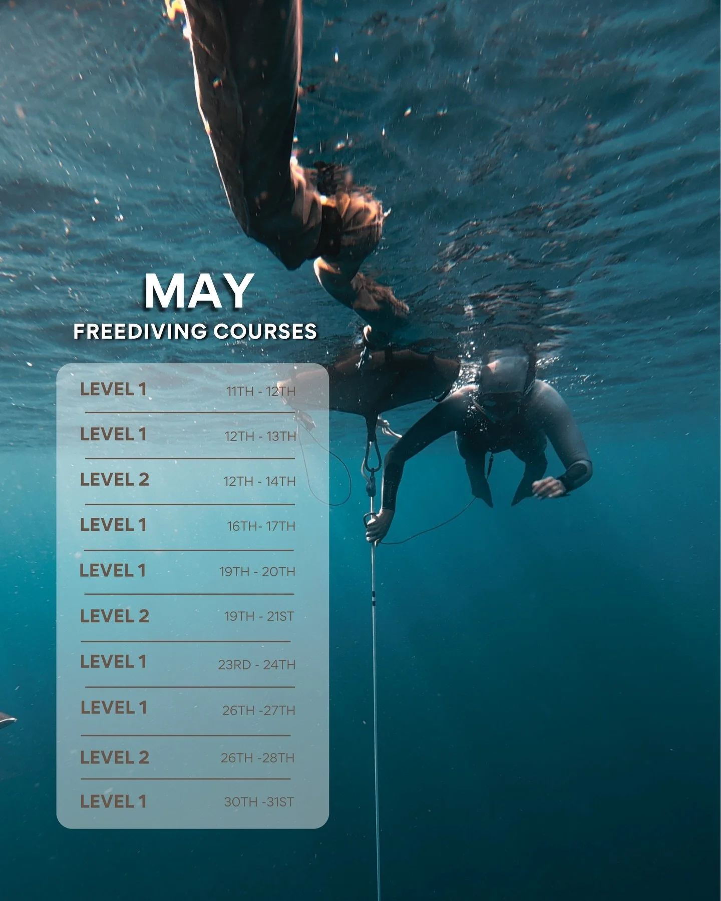 Freediving with Apneista can be a life changing experience! 

📍 Amed, Bali | 📅 May Courses

A journey inward as much as outward. Whether you&rsquo;re a total beginner or looking to advance our courses offer:

✨ Amazing facilities right on the beach