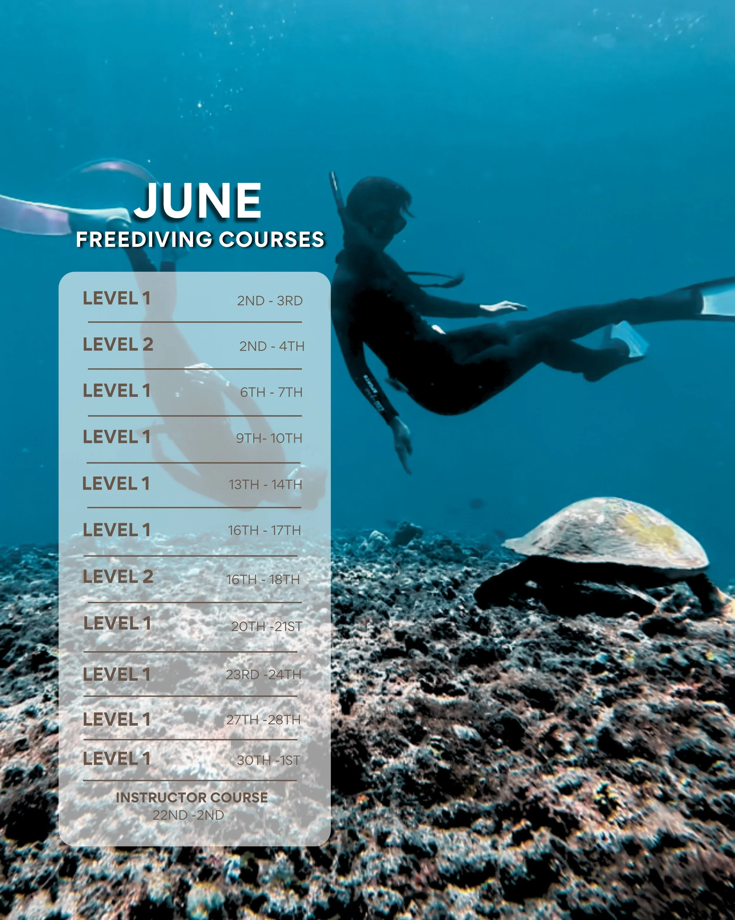 Join us this June in Amed for a Freediving experience that&rsquo;s all about slowing down, tuning in, and feeling at ease in the water.

At @apneistafreediving, we don&rsquo;t chase depth or numbers. We focus on awareness, relaxation, and connection,