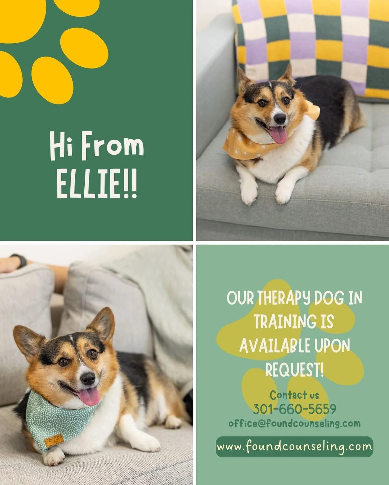 Hi all 👋🏻 it&rsquo;s been too long since our last post!! **Coming In With A Reminder** Ellie, our therapy dog in training (or your furry assistant therapist if you prefer ☺️) is almost finished with her training to offer Animal-Assisted Therapy. Wh
