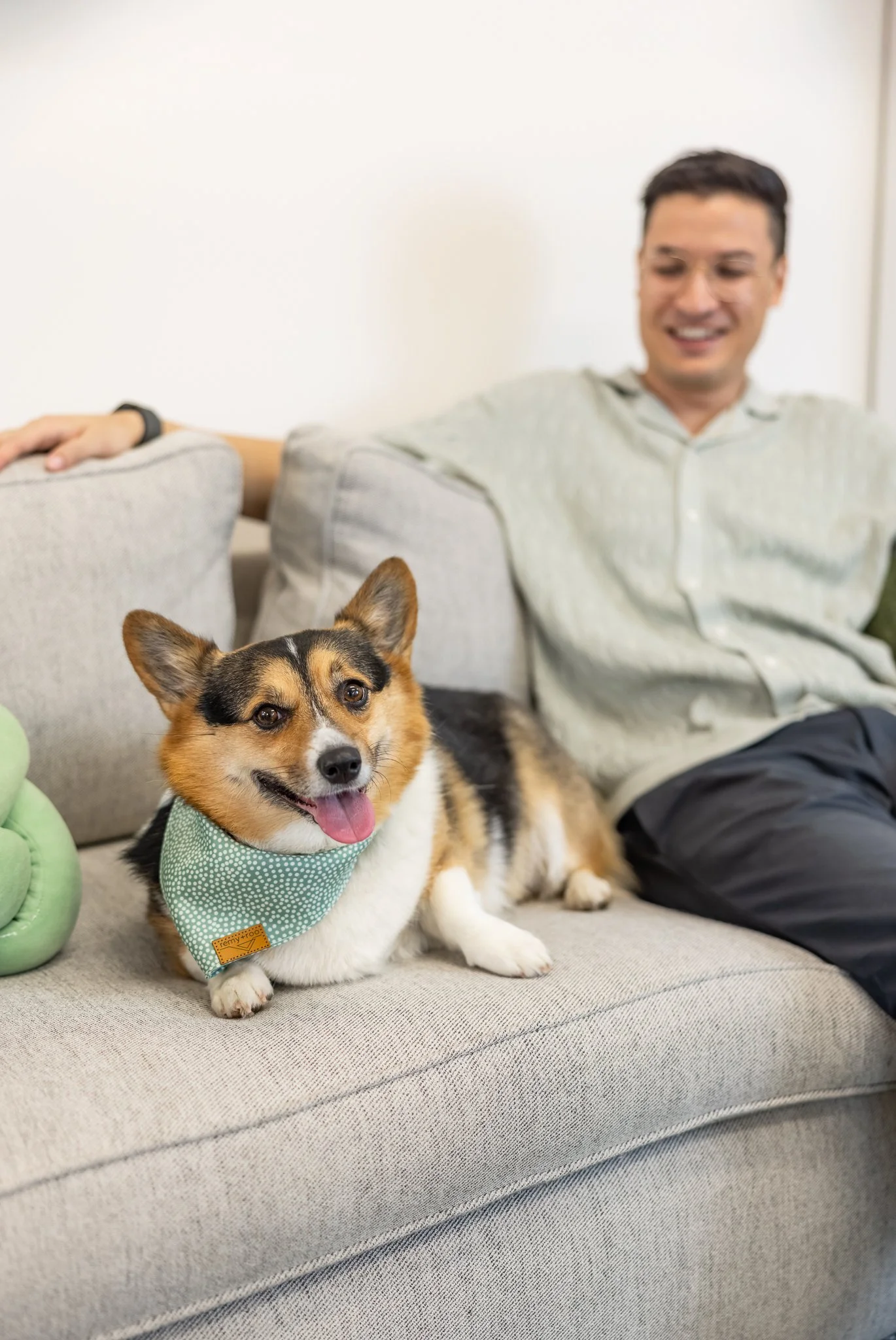 Animal-Assisted Therapy With Ellie!