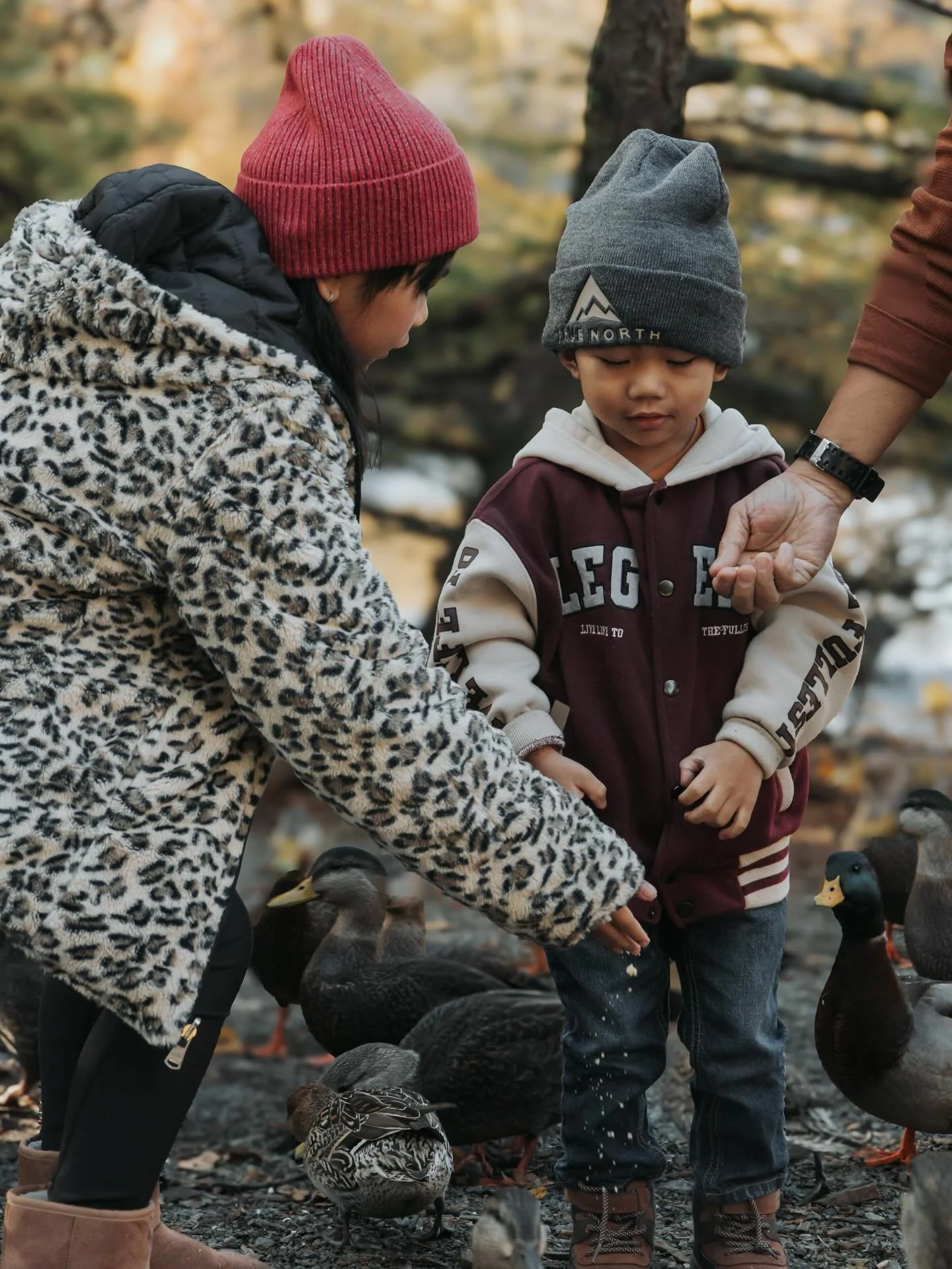 Nothing beats a fall family session at Bowring Park! warm light, crunchy leaves, and little ones completely mesmerized by the ducks 🦆 
Moments worth keeping🤍