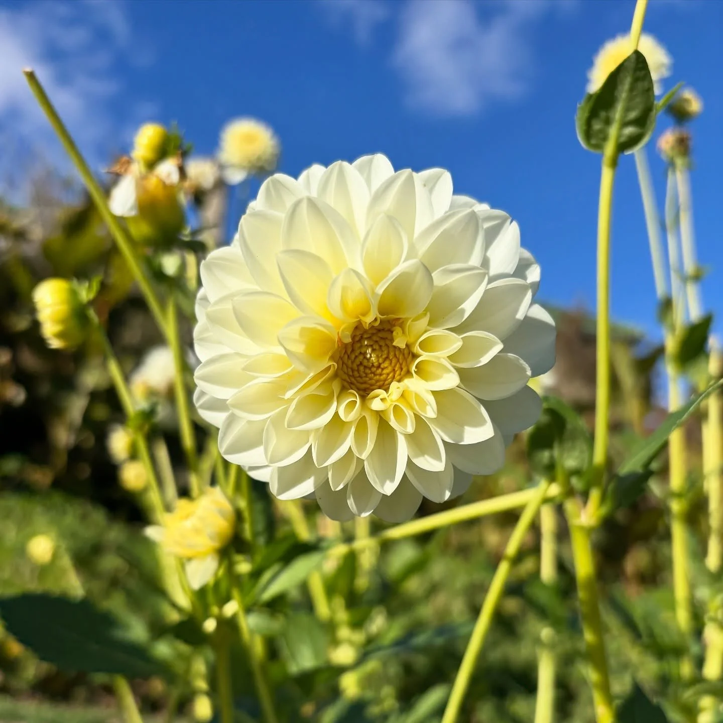 I love when God waters my garden🥰