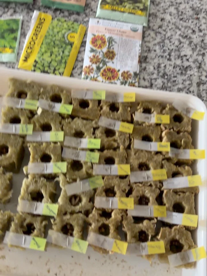 Excited to start my garden this year!😃