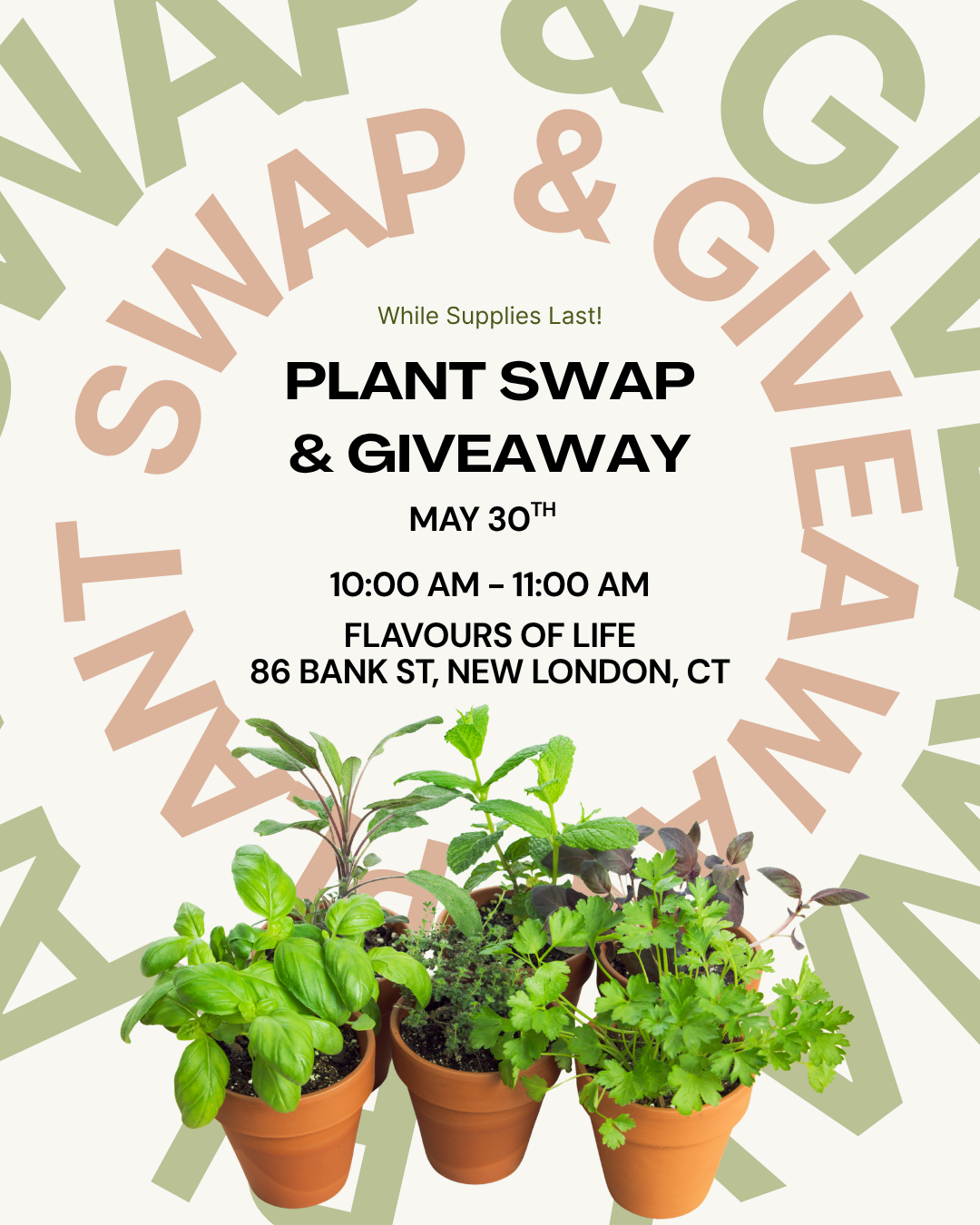 Plant Swap & Giveaway