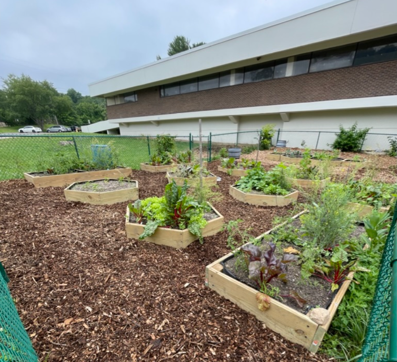 Community Garden Development