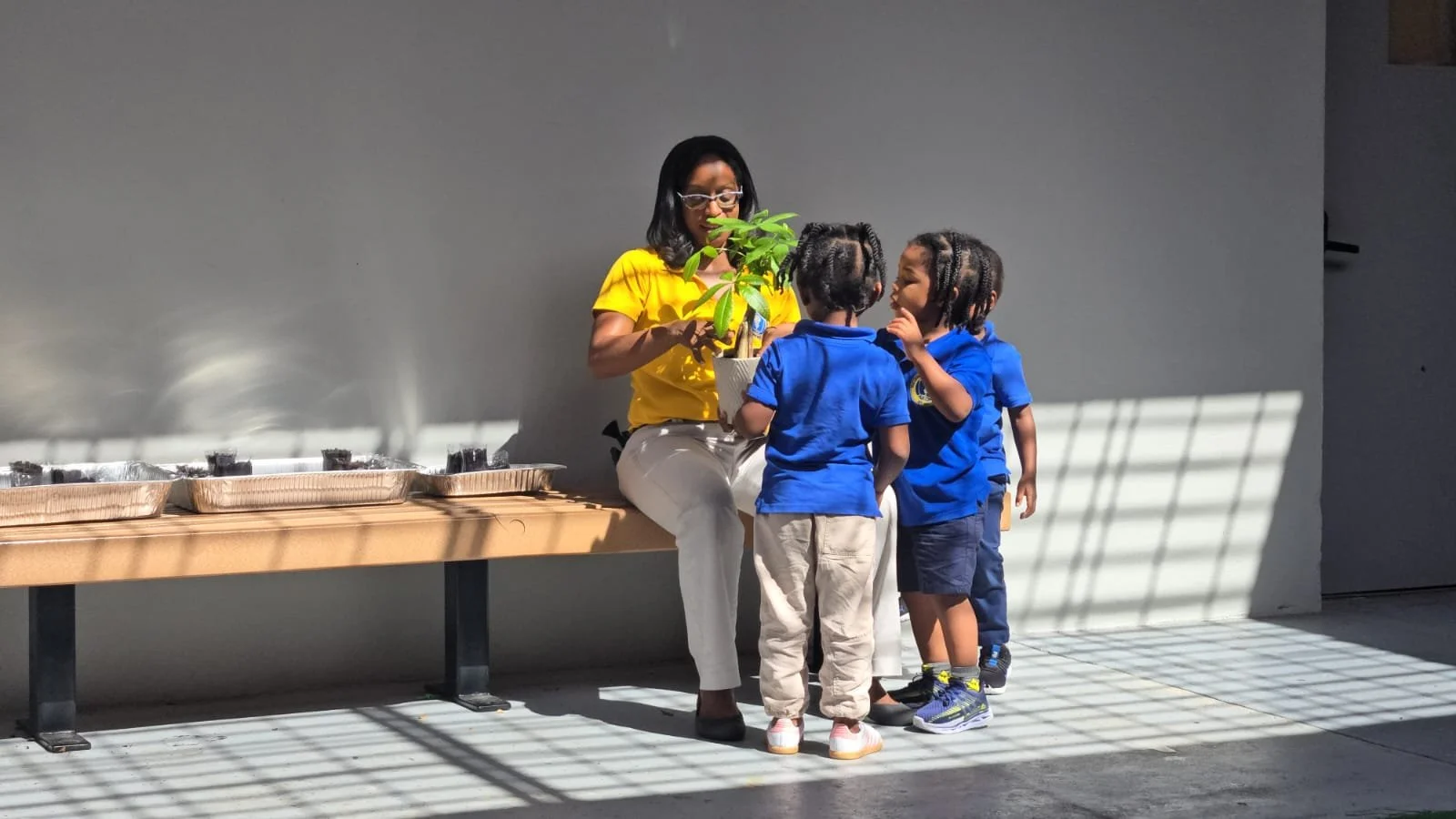 A woman in a yellow shirt sitting on a bench, handing a potted plant to three children in blue shirts, with shadow patterns on the wall and floor.