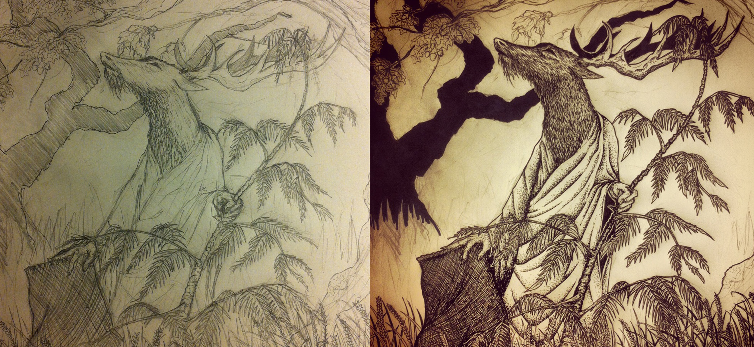 Illustration progress