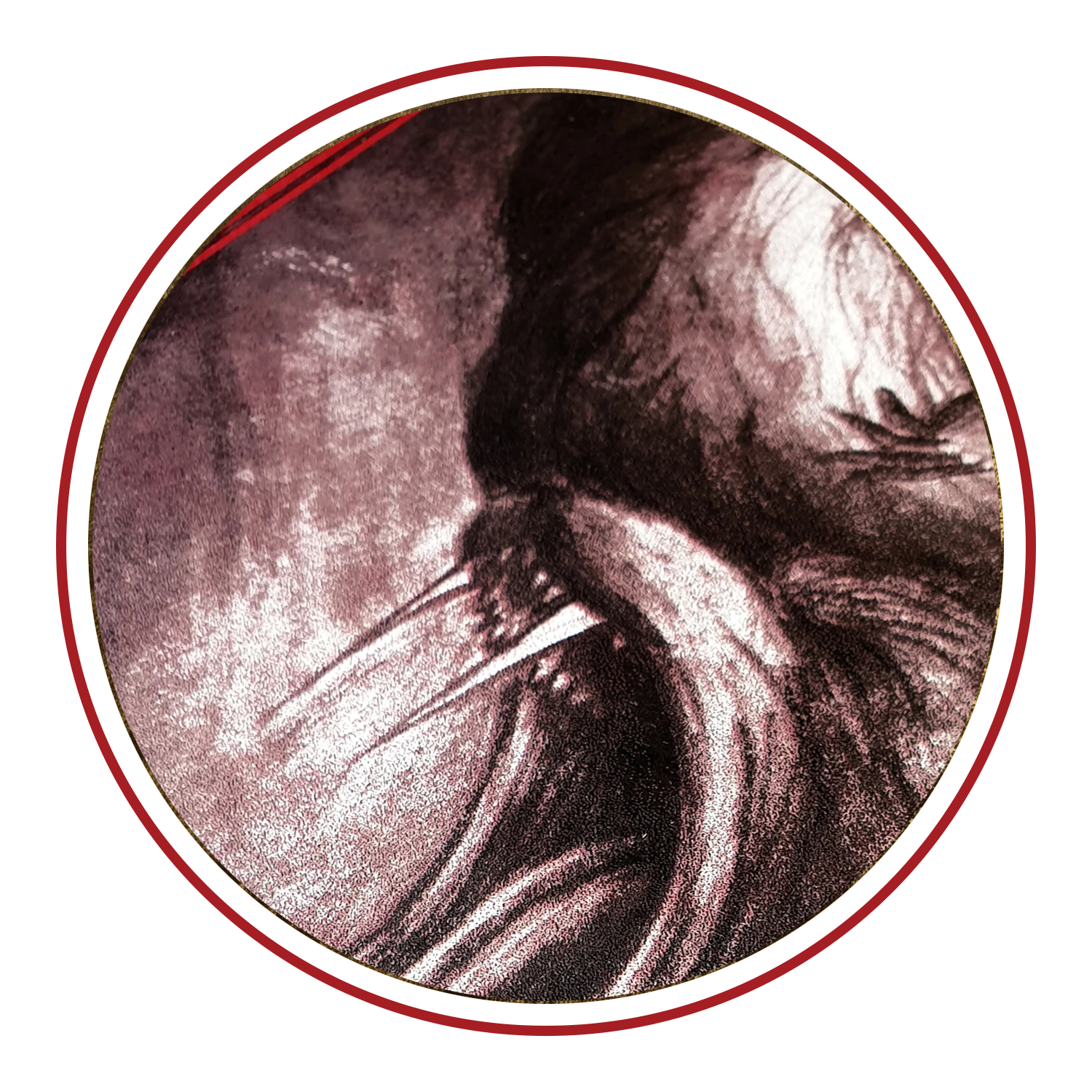 Close-up of abstract artwork with a tusk-like shape and swirling textures in shades of gray and black, framed in red.