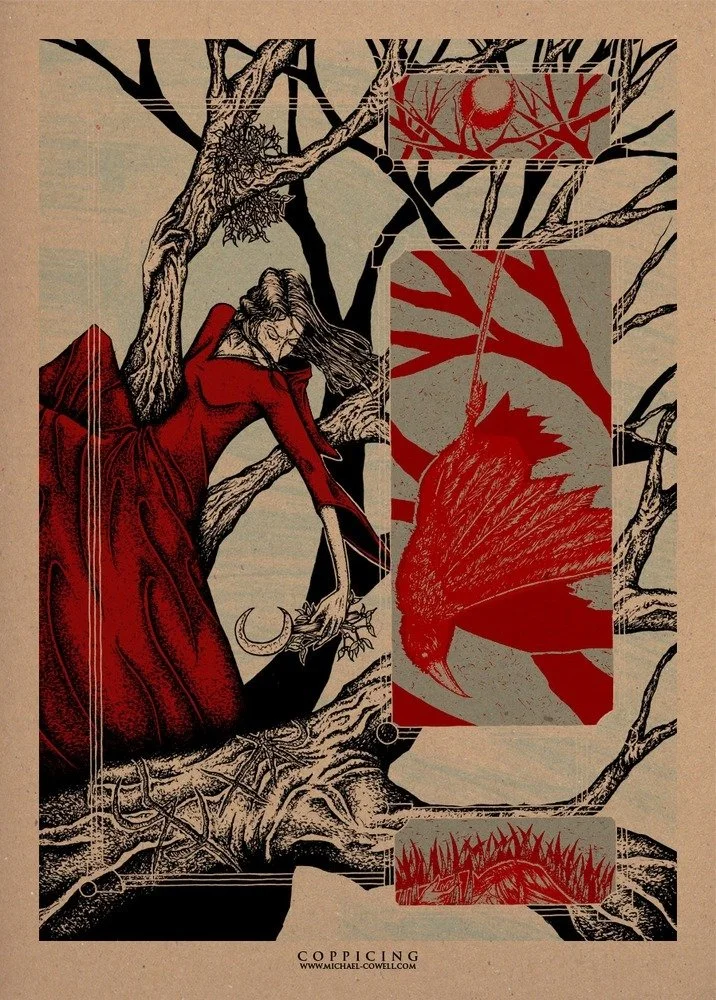 Coppicing (art print) | Three colour screen print on 320 GSM craft stock | 450 x 640 mm | 2013
