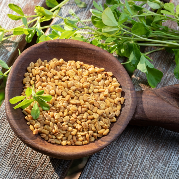 Wooden spoon filled with fenugreek seeds next to fresh fenugreek leaves on a wooden surface.