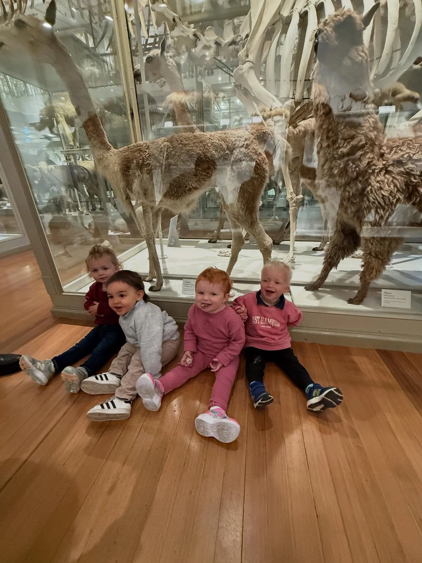 Fun Friday field trip to @harvardmuseum!