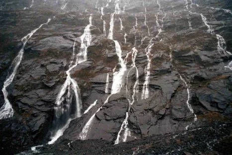 Rivulets Everywhere