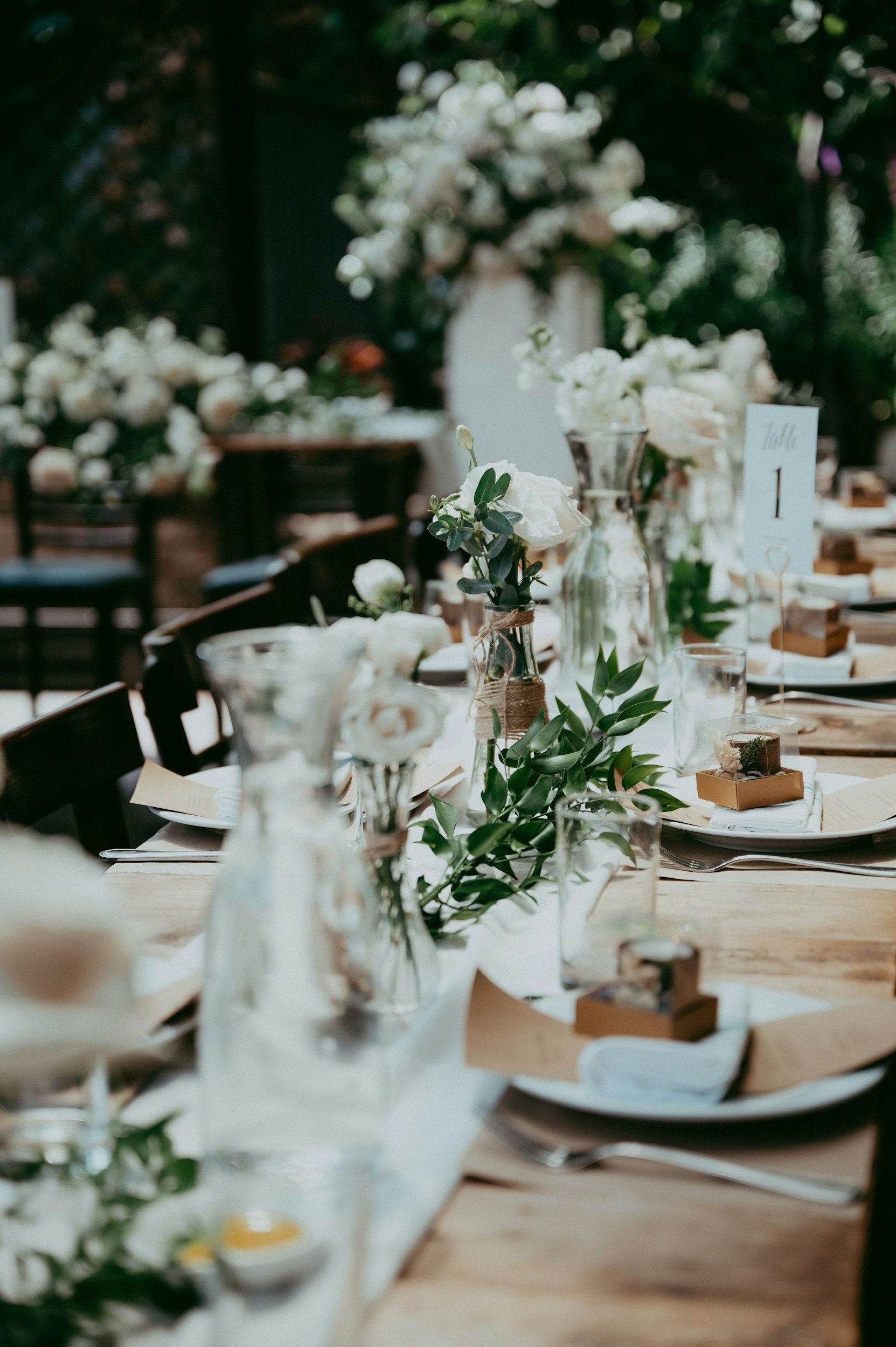 unsplash-image-JO2td7ejpig.jpg
