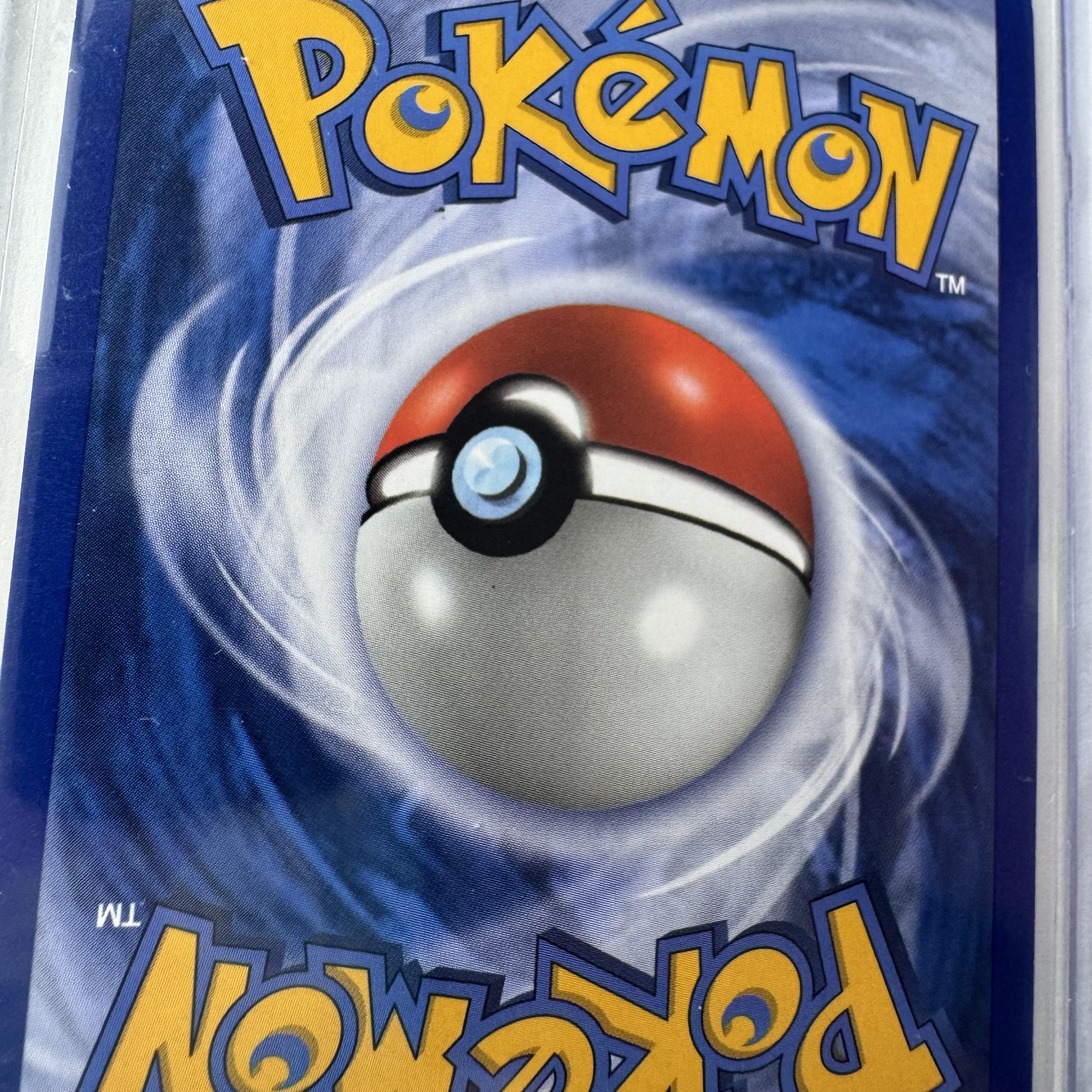 Raikou_BackCU.jpeg