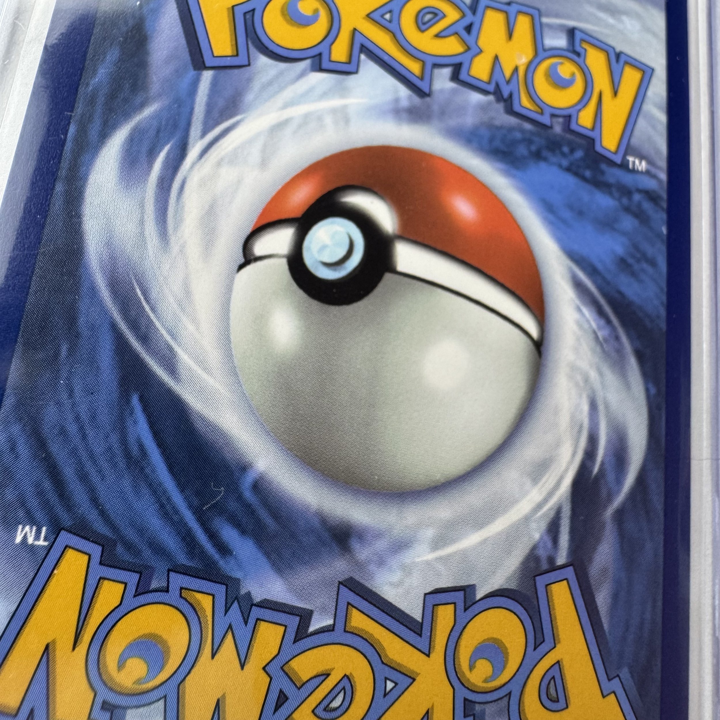 Misty'sLapras_BackCU.jpeg