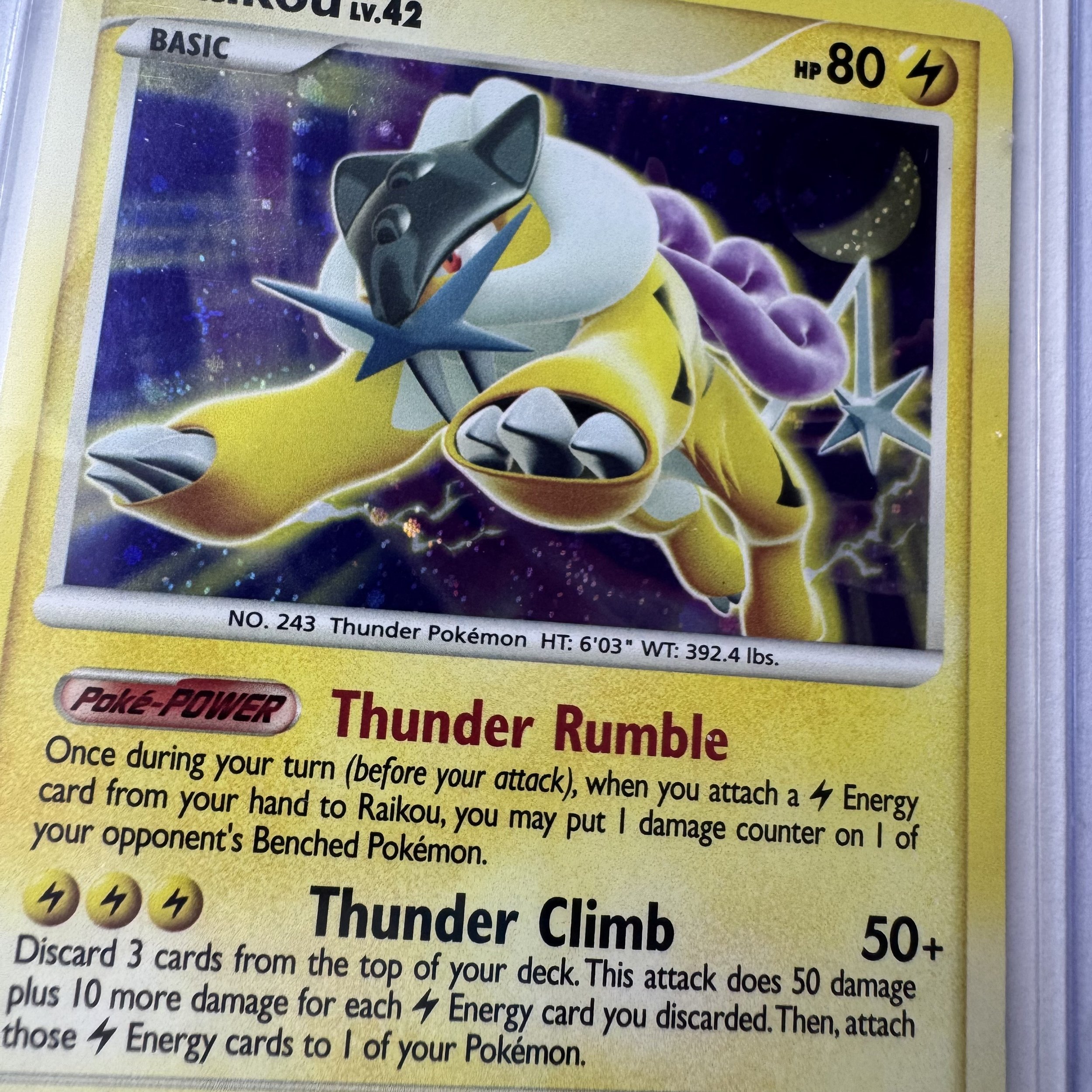 Raikou_FrontCU.jpeg