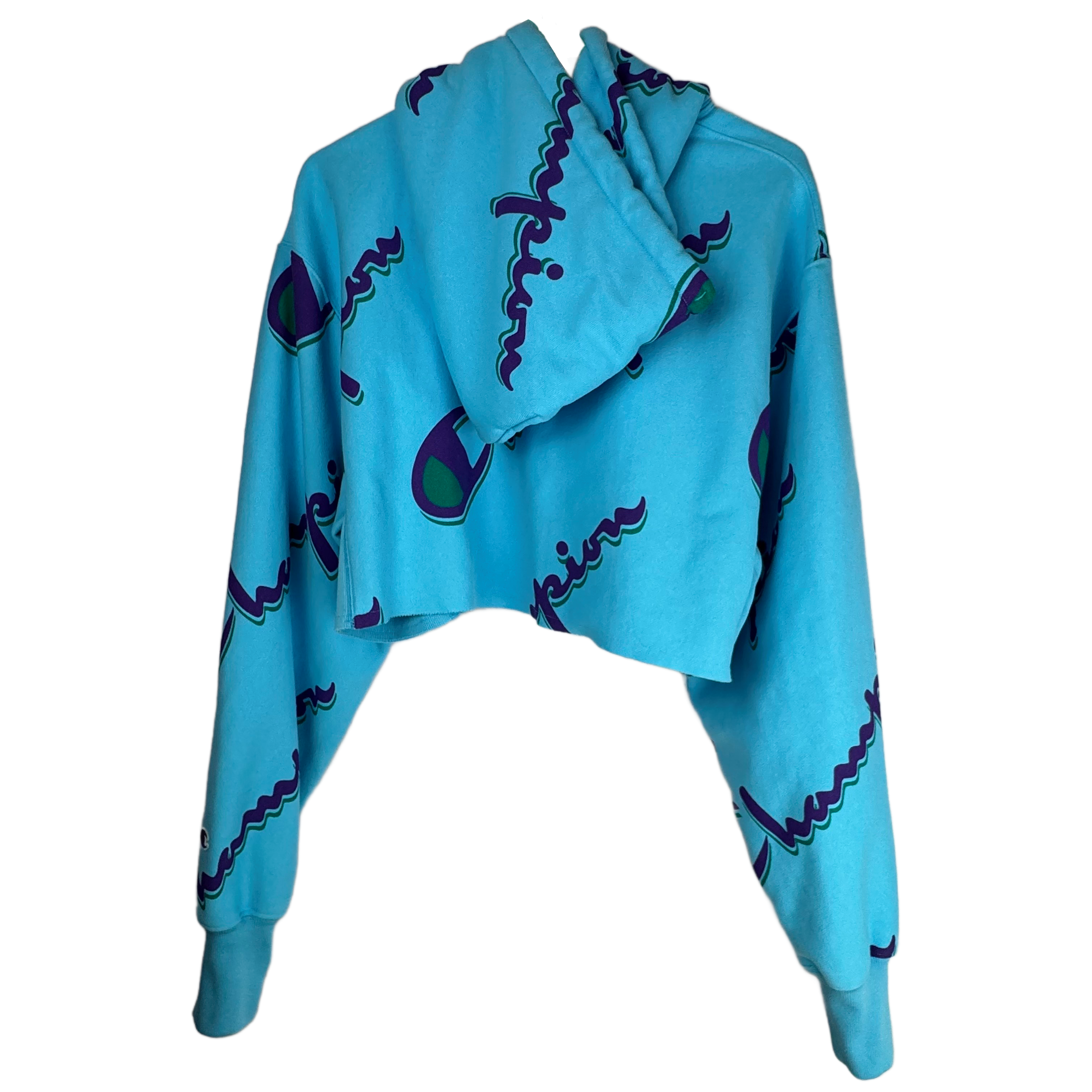 Champion_Crop_Sweatshirt_Back.png