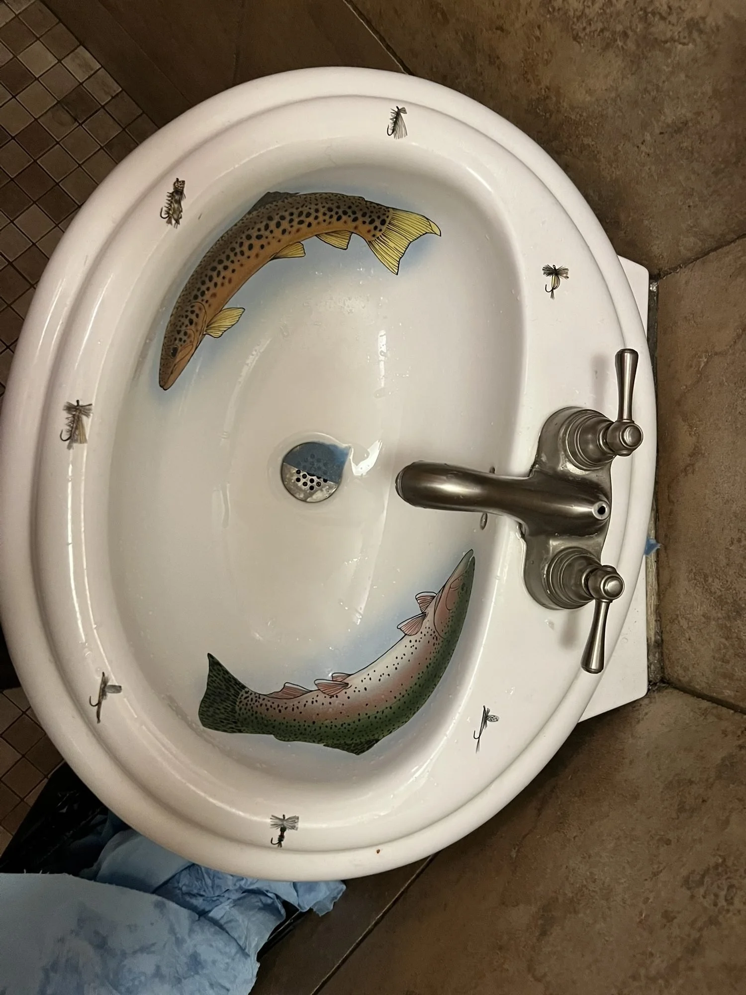 246.jpg