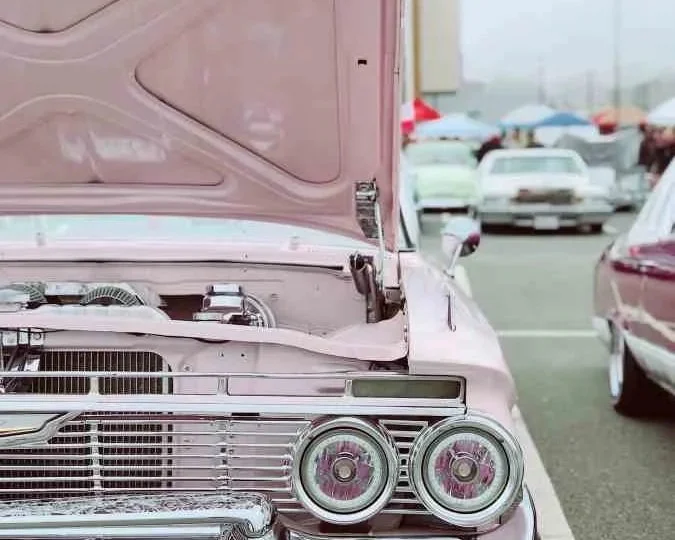 Protecting the nest egg Reverse Mortgage Kim Dodge