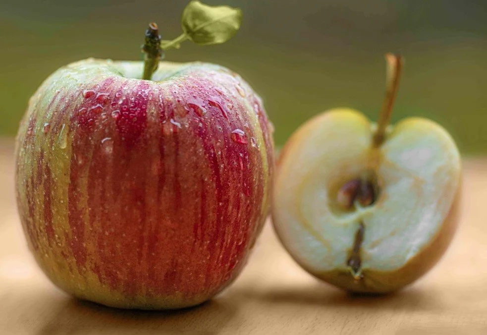 FHA Home Equity Conversion Mortgage HECM