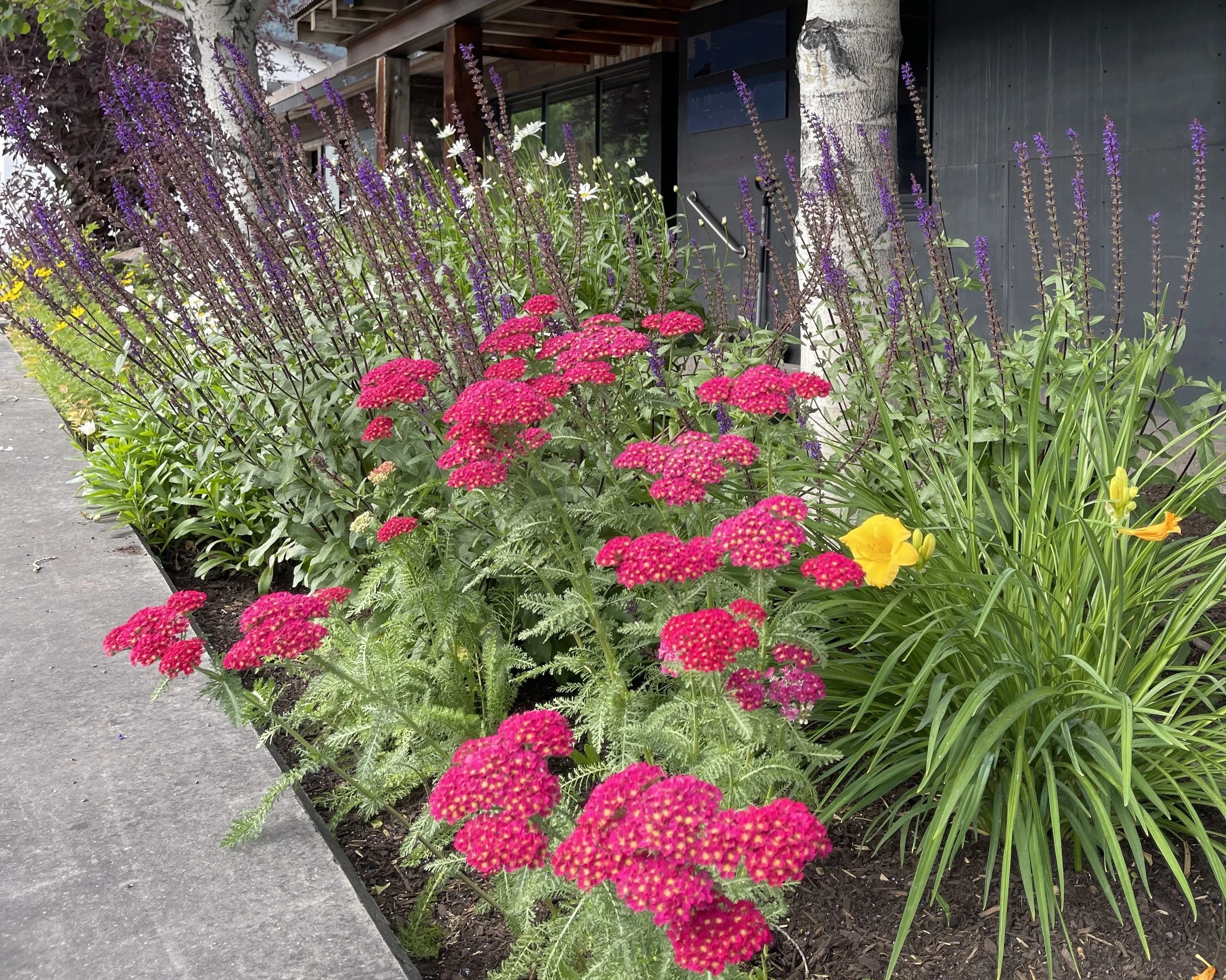 Funds for home repair Kim Dodge Reverse Mortgage