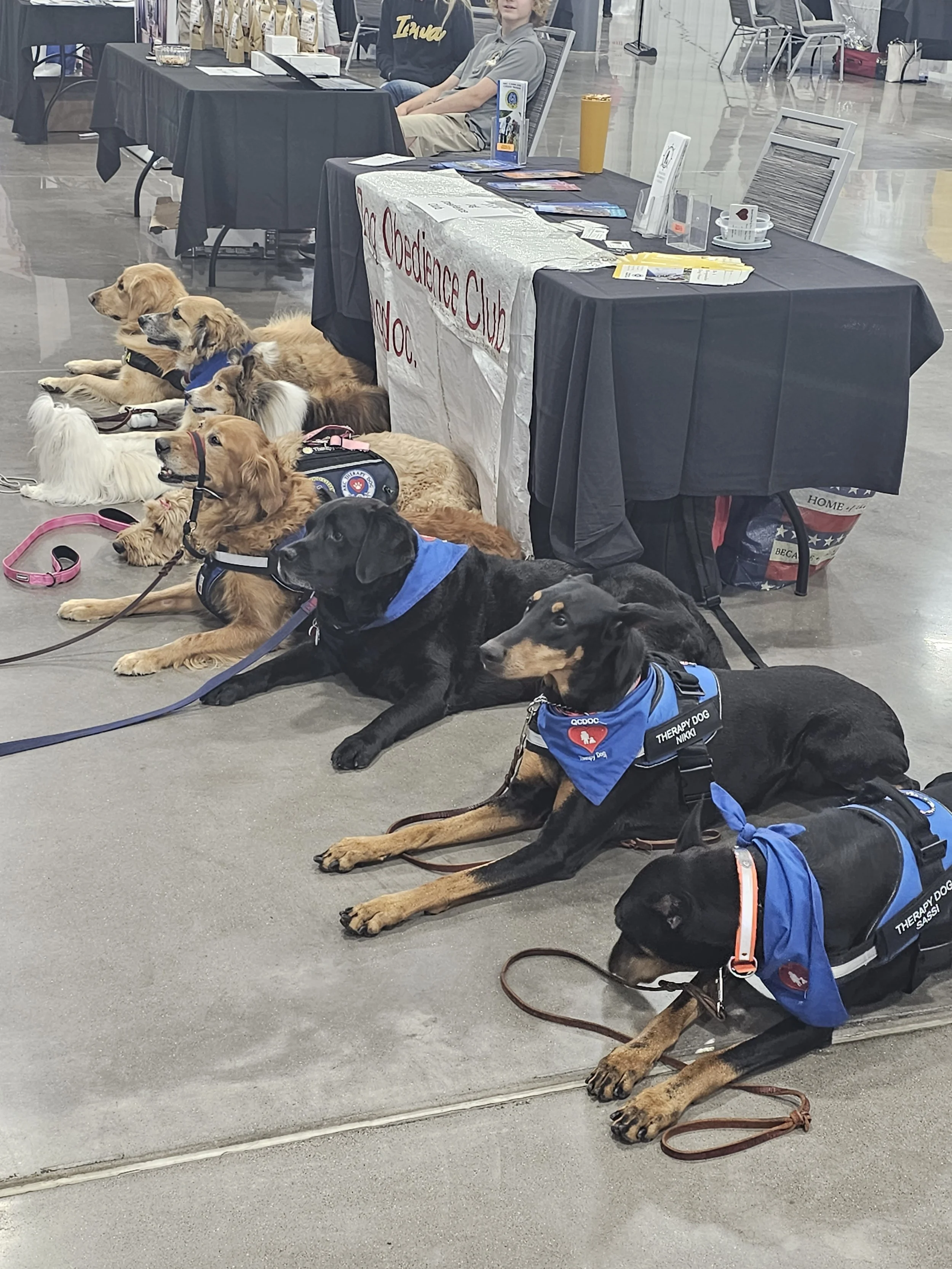 23 doggos expo.jpg