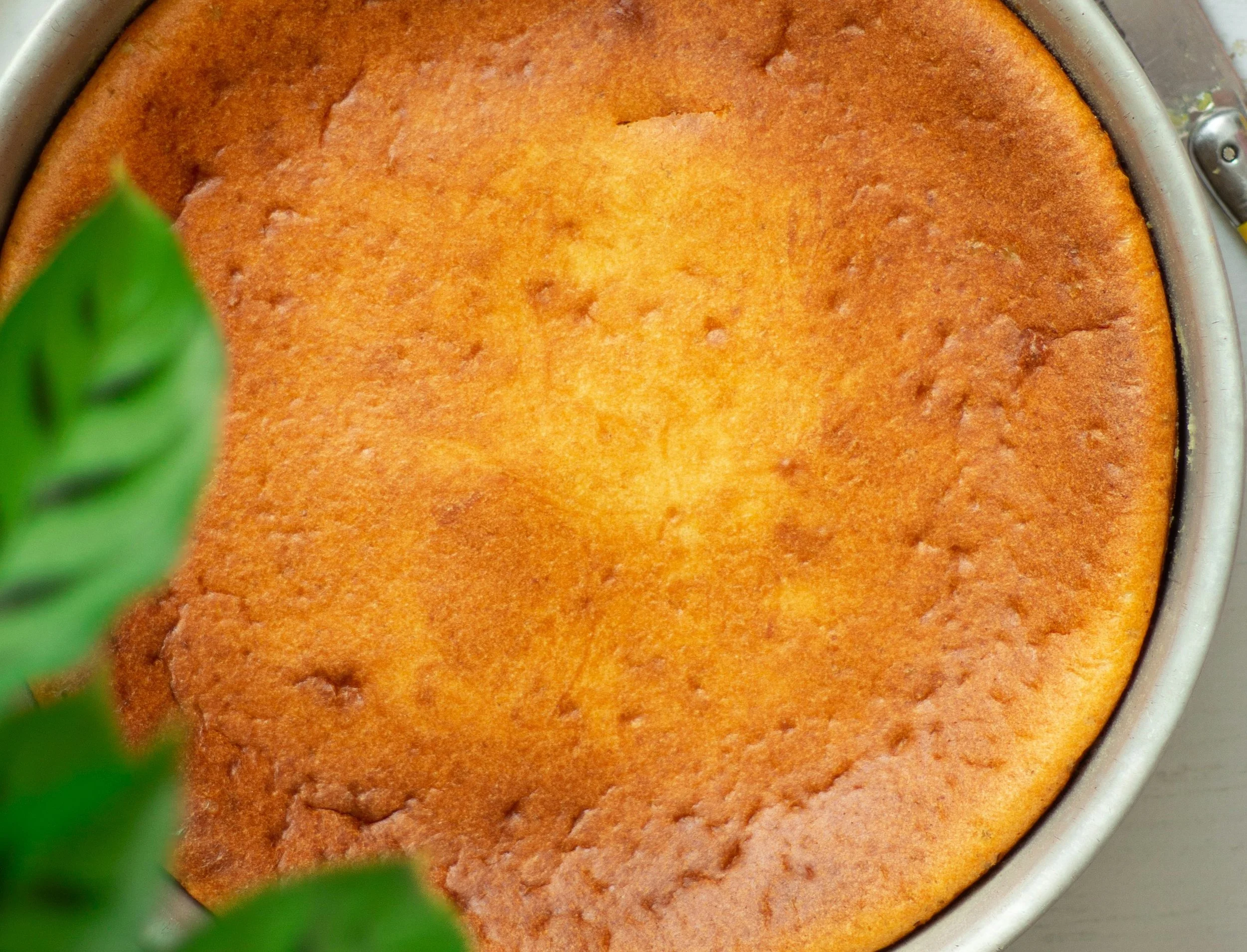 Winter Seasonal Recipe