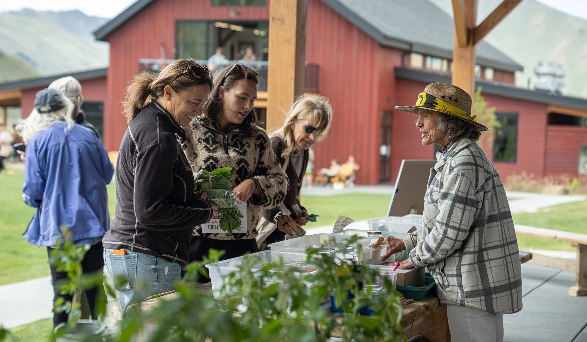 The Impact of Sprout Sellers