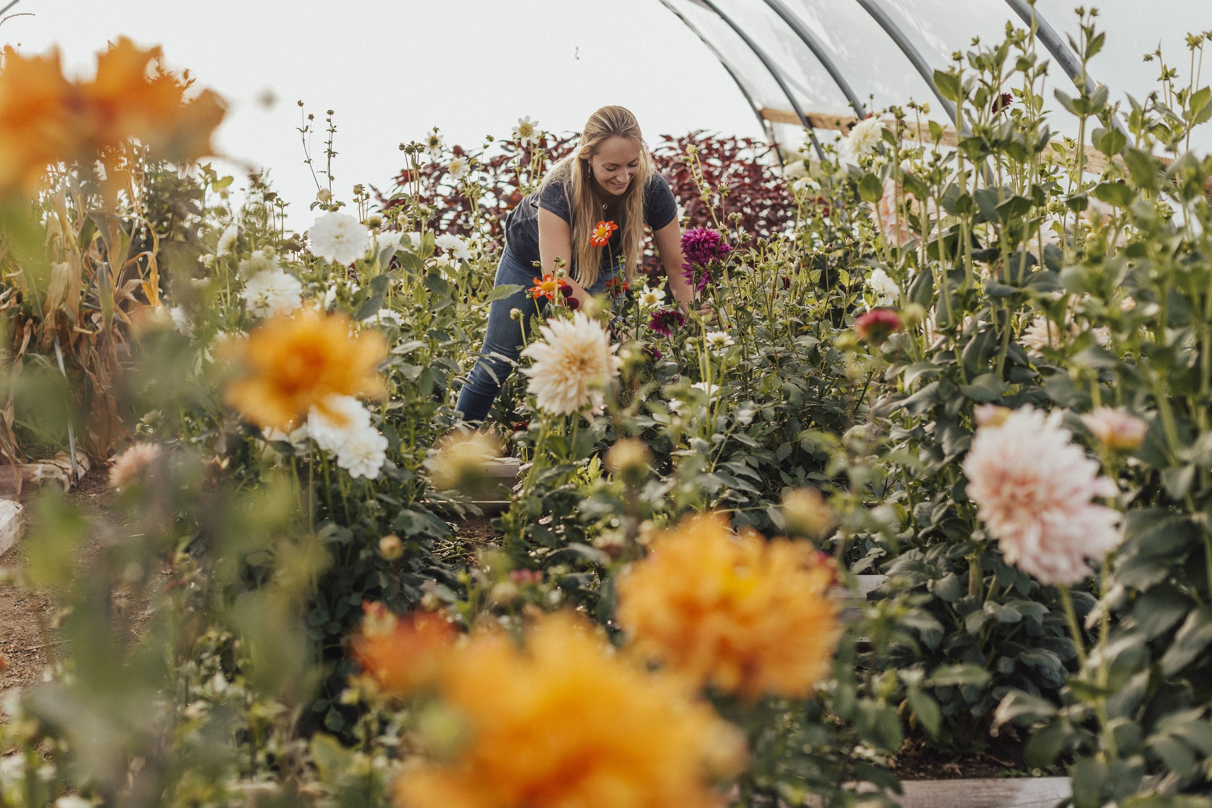 Future Roots Business Member: Wild Flora Farm