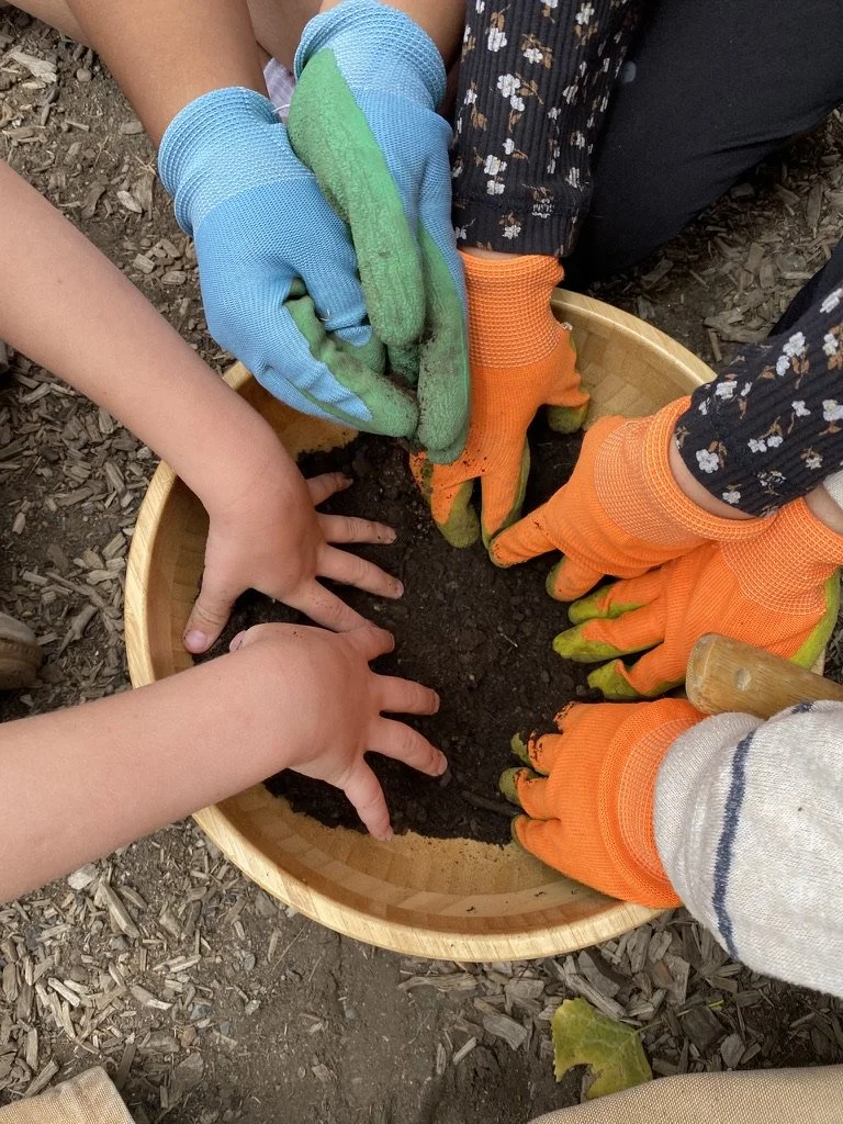 School kids working with soil on the farm