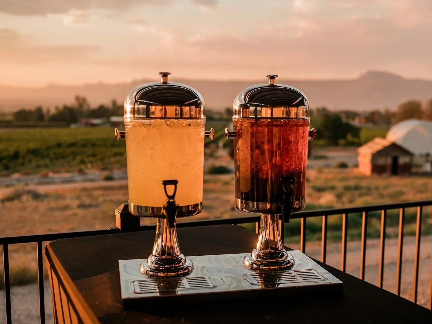 hillbilly-catering-grand-junction-colorado_0508.jpg