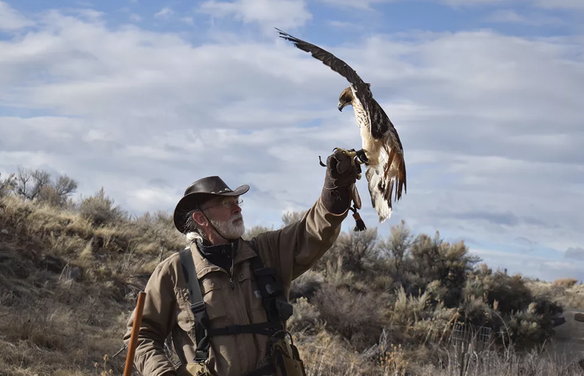 Screenshot 2025-04-17 at 12.17.09 PM.png