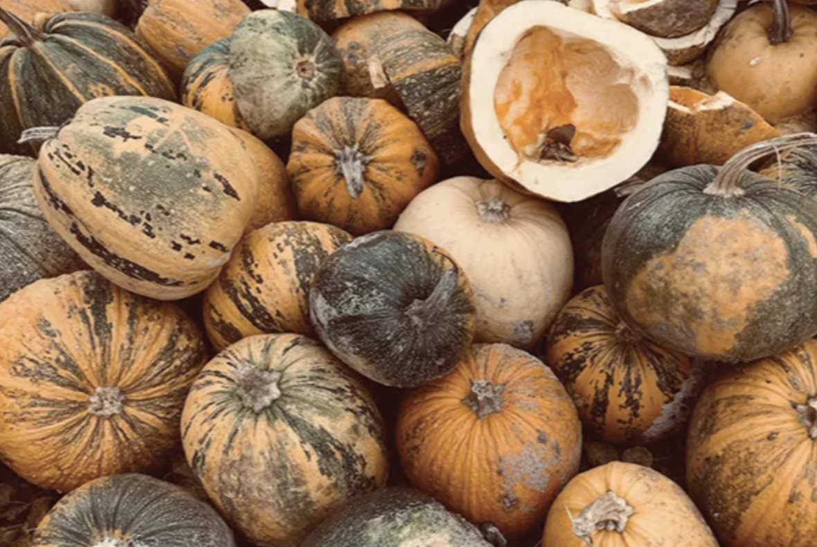 Screenshot 2025-04-17 at 12.28.11 PM.png