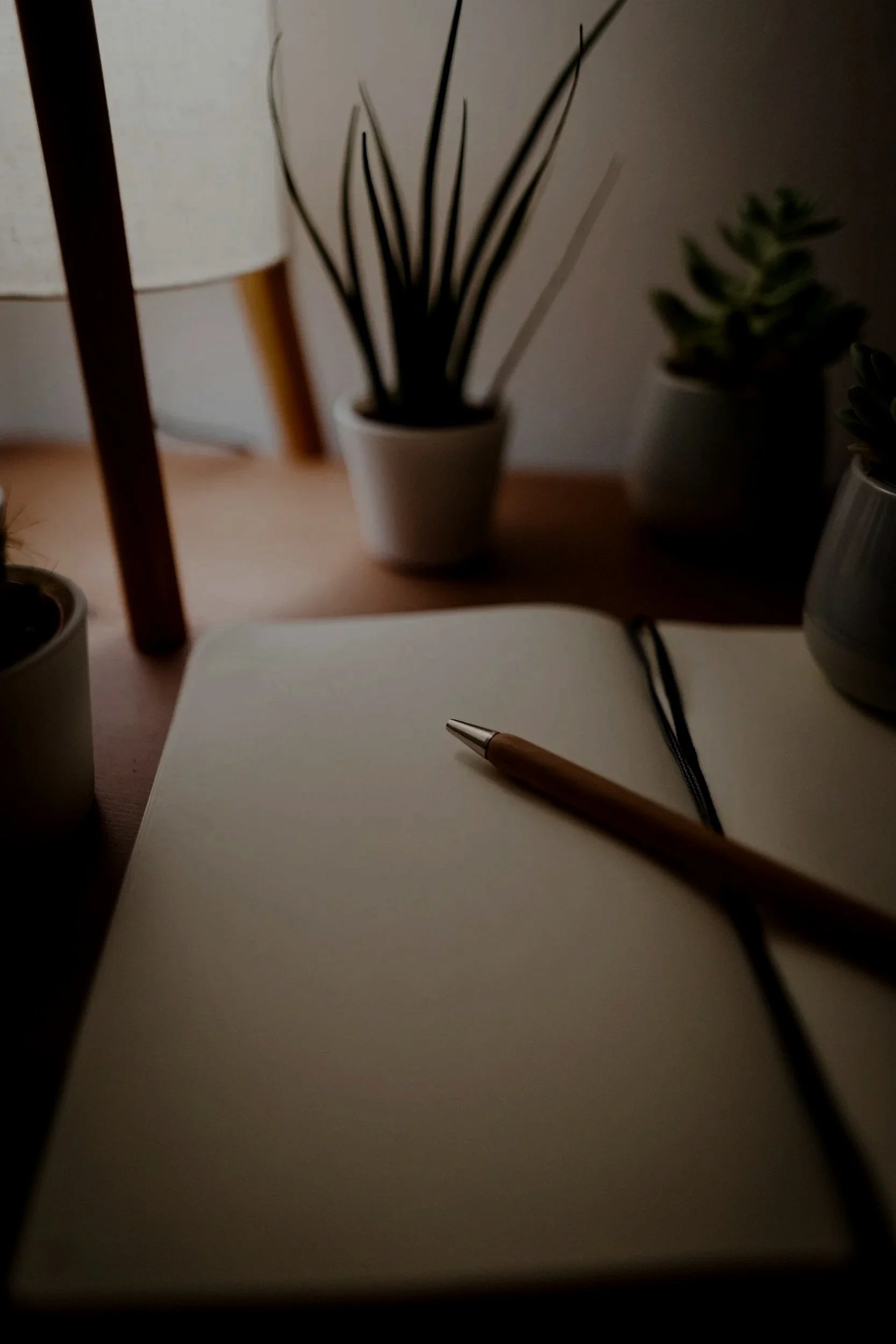 Open blank notebook with pen on desk, potted plants, and lamp in soft indoor lighting.