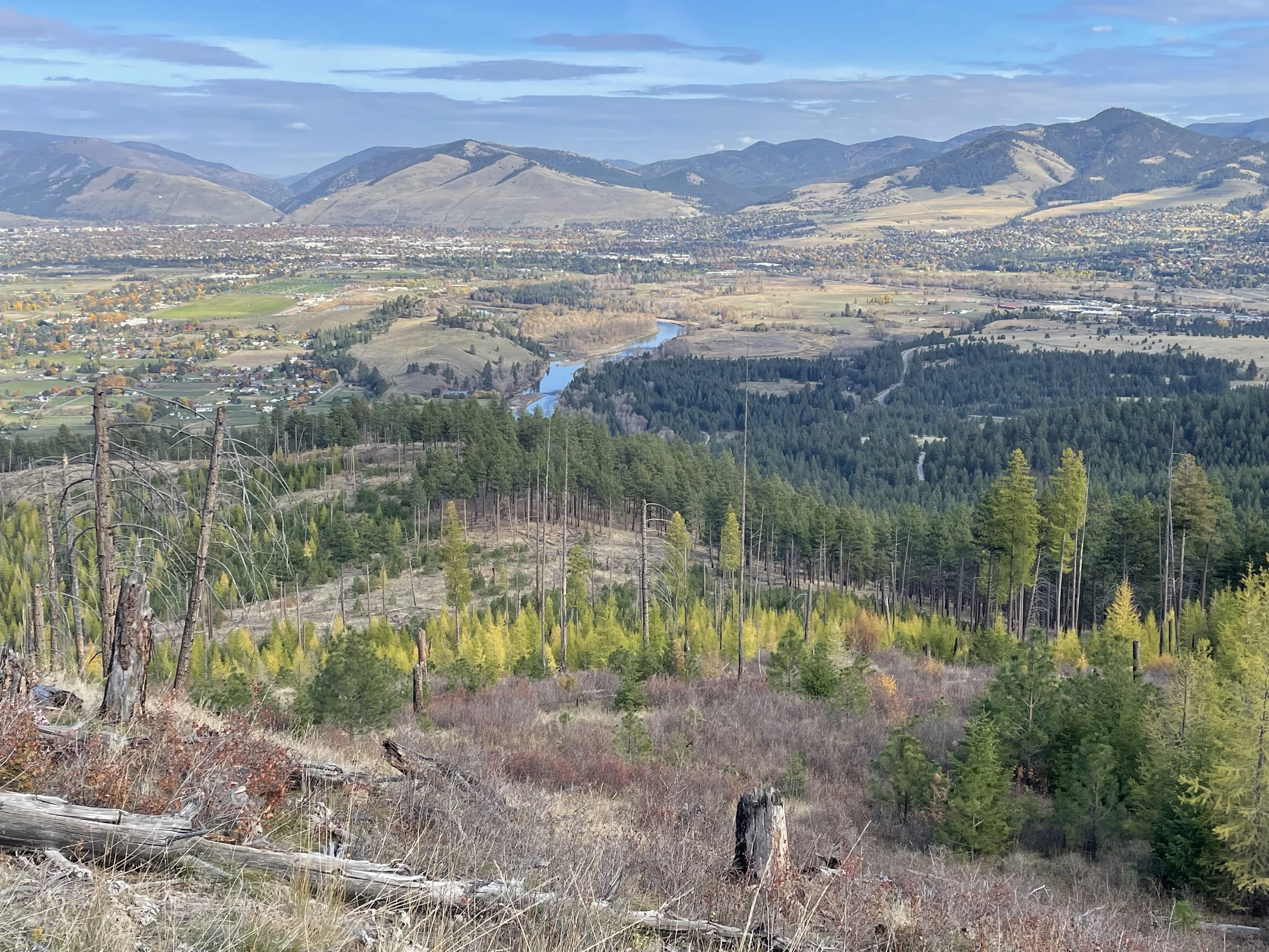 A panoramic view of a valley with a winding river, surrounded by forested hills and mountains in the distance, under a blue sky with some clouds.
