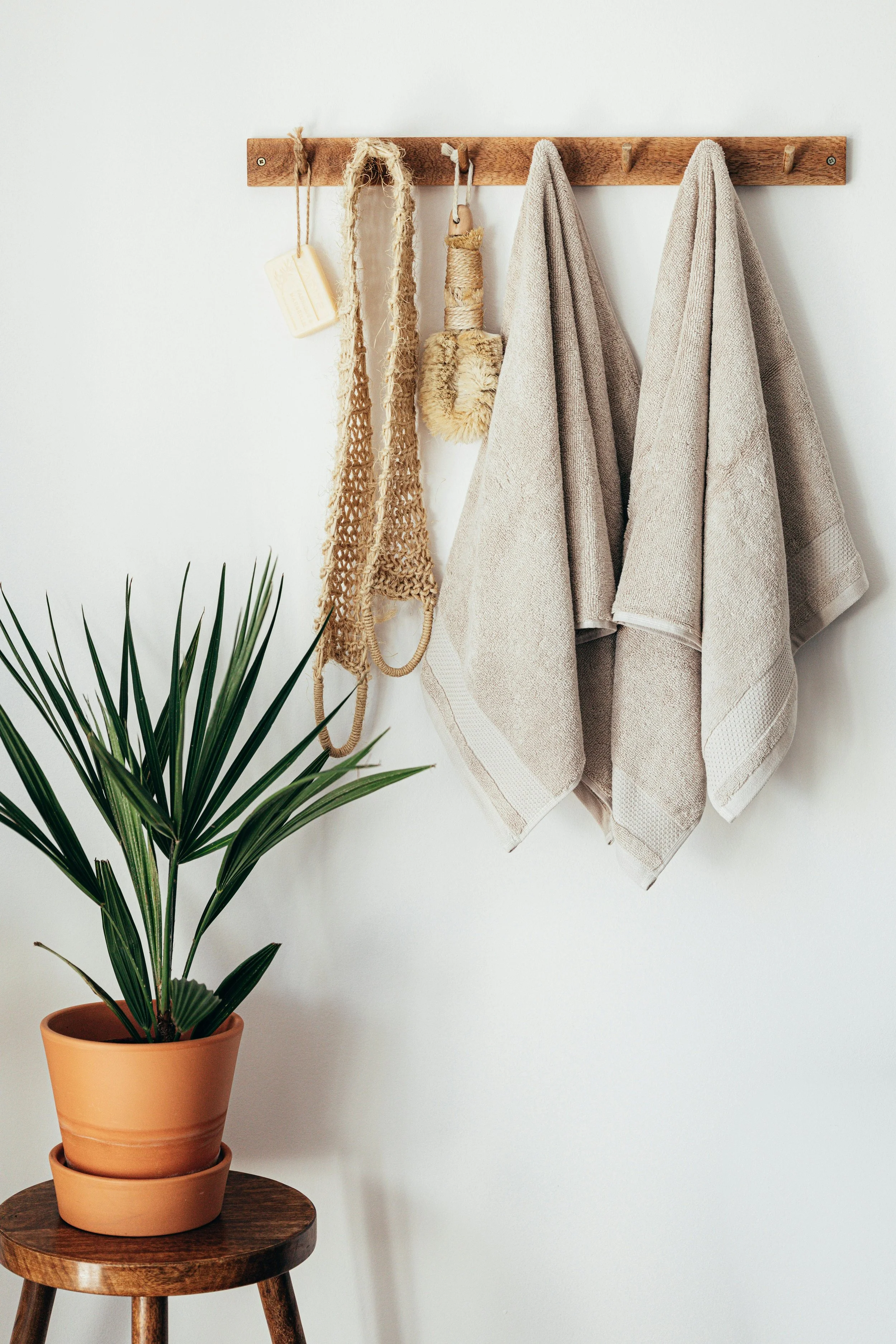 A potted palm plant on a wooden stool, with a wall hook rack above holding towels and hanging items.