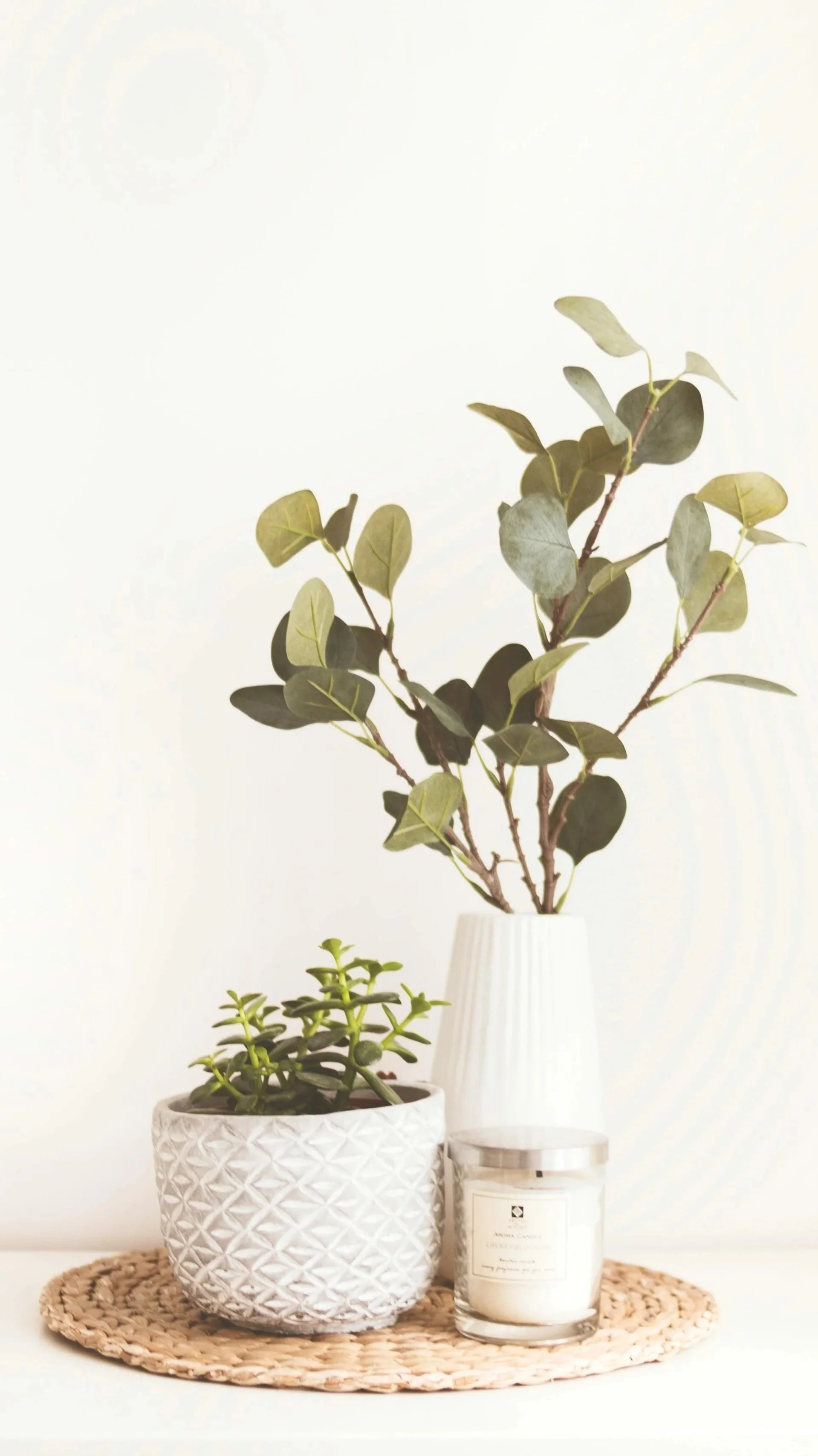 Two potted plants, one with green round leaves in a textured white pot, and another with larger green leaves in a white vase, placed on a woven round mat with a candle nearby.