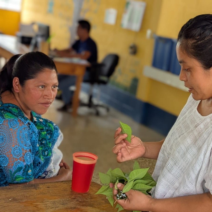 Our team has just launched a new pilot programme for expectant mothers with known risk factors, following a 38% increase in pregnancy-related complications in Senah&uacute; linked to low birth weight and inadequate milk supply. 
Mothers identified as