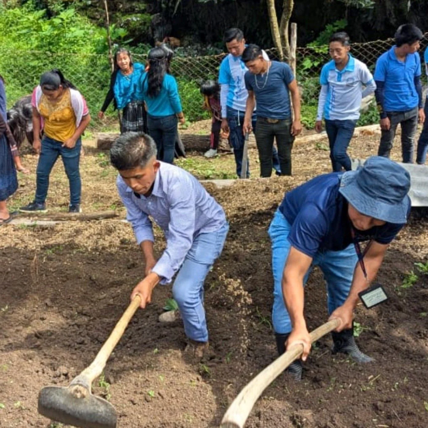 In the fight against malnutrition, one of our goals is to empower the next generation to grow their own food, support their health, and ensure long-term food security.
To this end we provide students with hands-on training and guidance in planting re