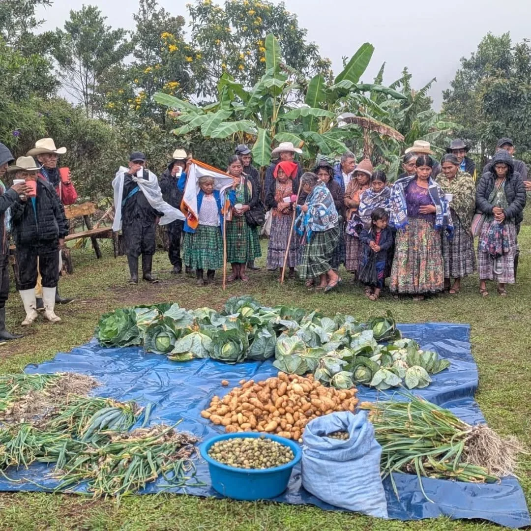 Harvest time arrived with Thanksgiving this year at Ochoch Solly. And to celebrate we invited the elderly residents from surrounding villages to join us in picking potatoes, leeks, cabbage, and chard from our vegetable gardens. It was a joyful moment
