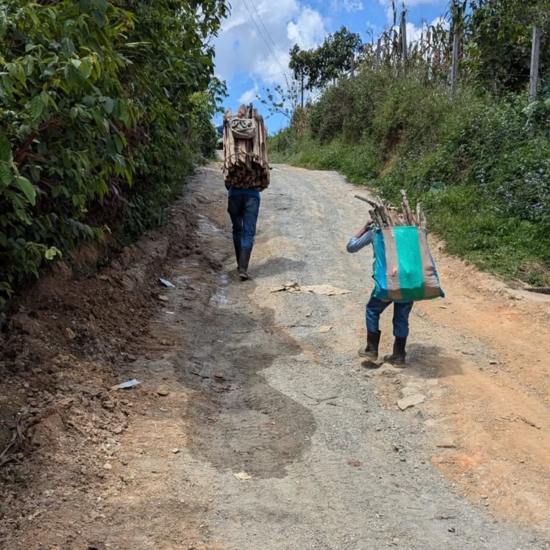 Here in the rural areas, families rely on firewood to cook meals and keep their homes warm. Firewood is becoming more scarce and collecting it is not easy, especially if you are a mother at home with children and your husband is away for work.

Many 