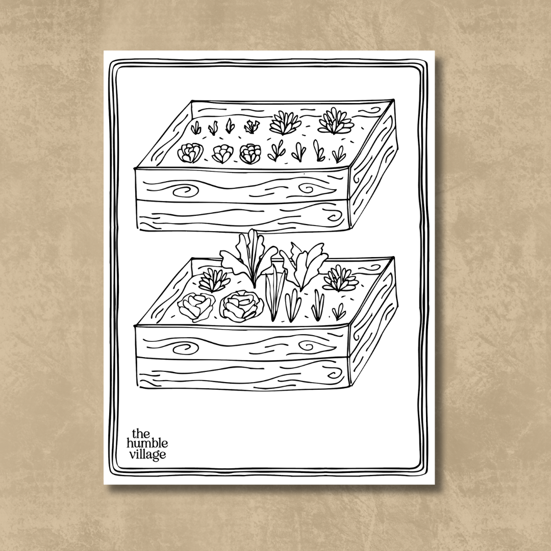 HV-mockup (1).png