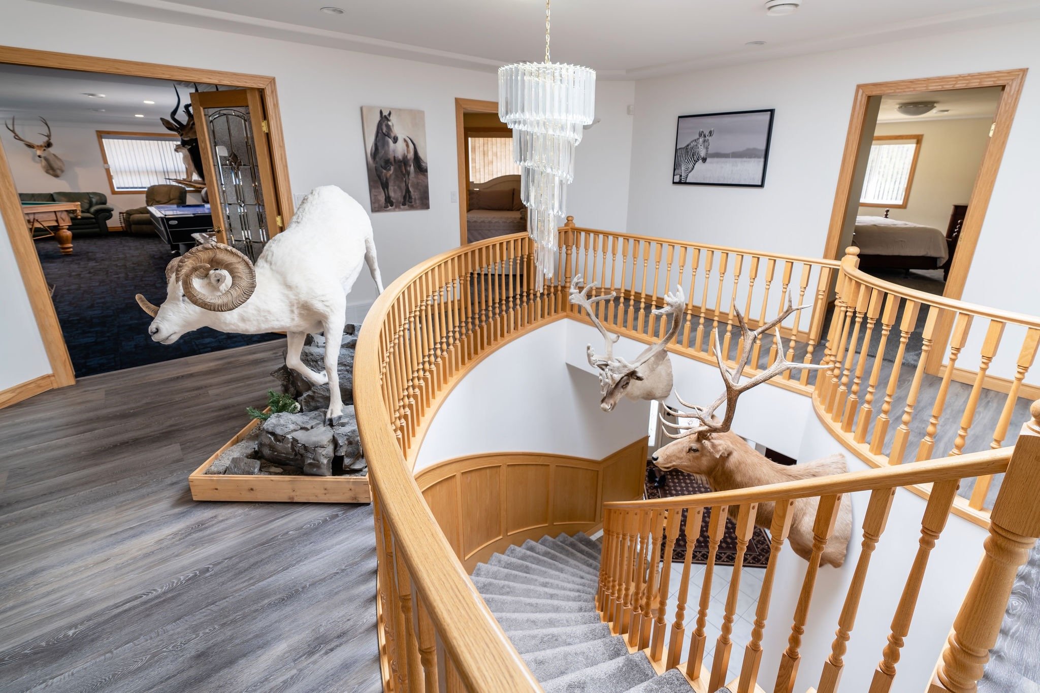 Interior of a house with decorative taxidermy animals including a ram, a moose, and a deer placed on the staircase and floor.