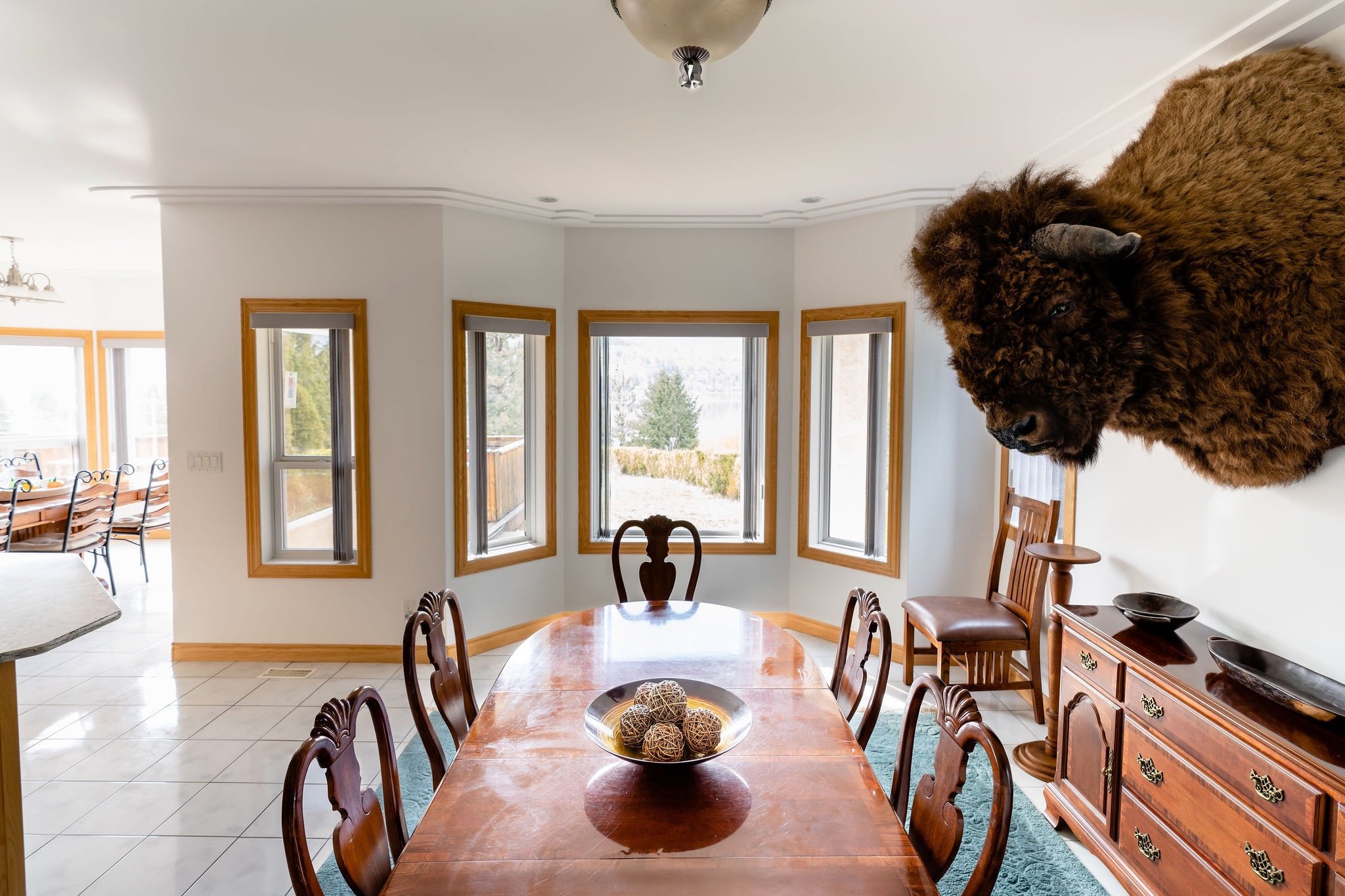 Dining room with wooden table and chairs, bay windows, and a mounted bison head on the wall.